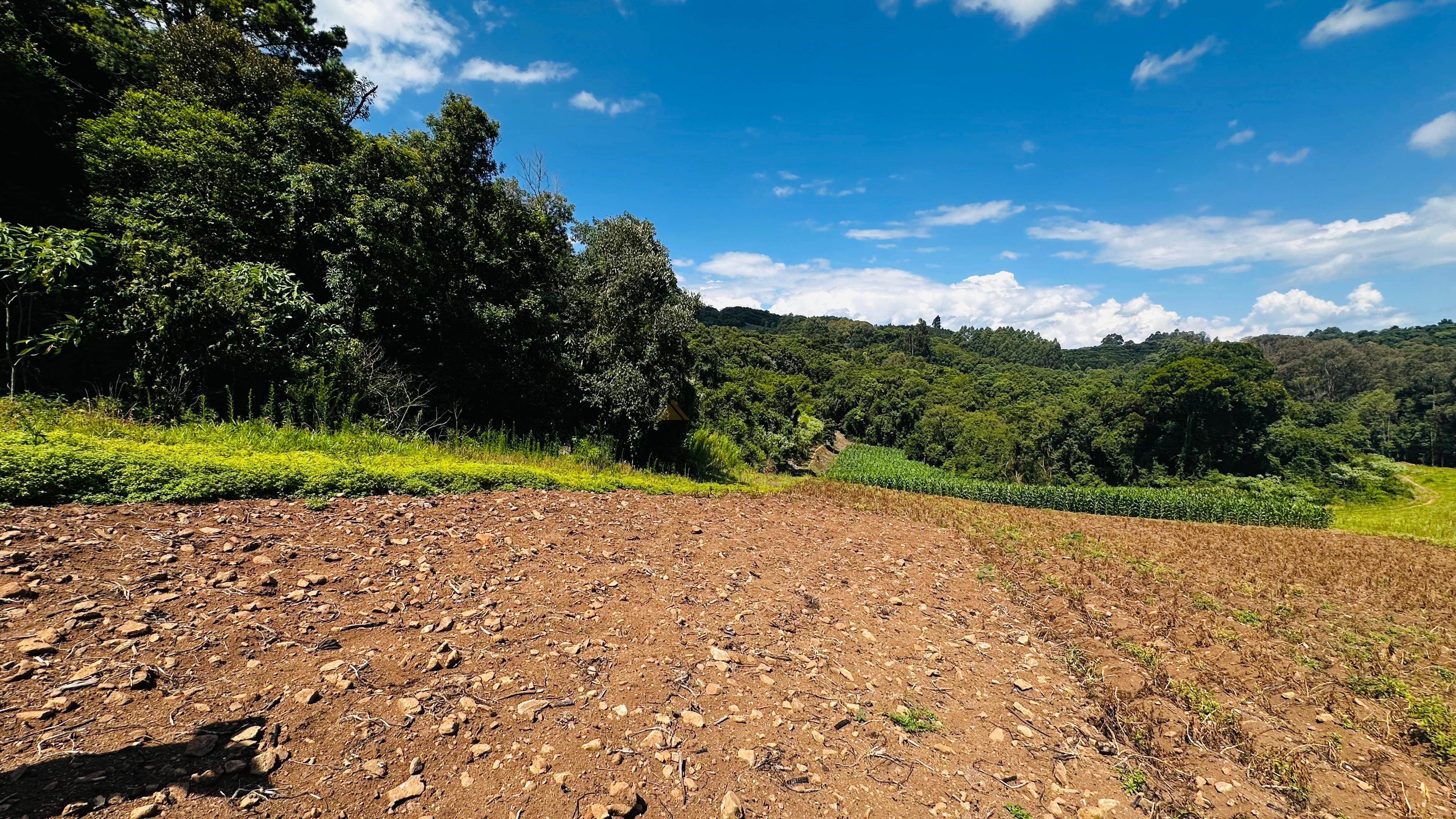 Fazenda à venda com 2 quartos, 58000m² - Foto 6