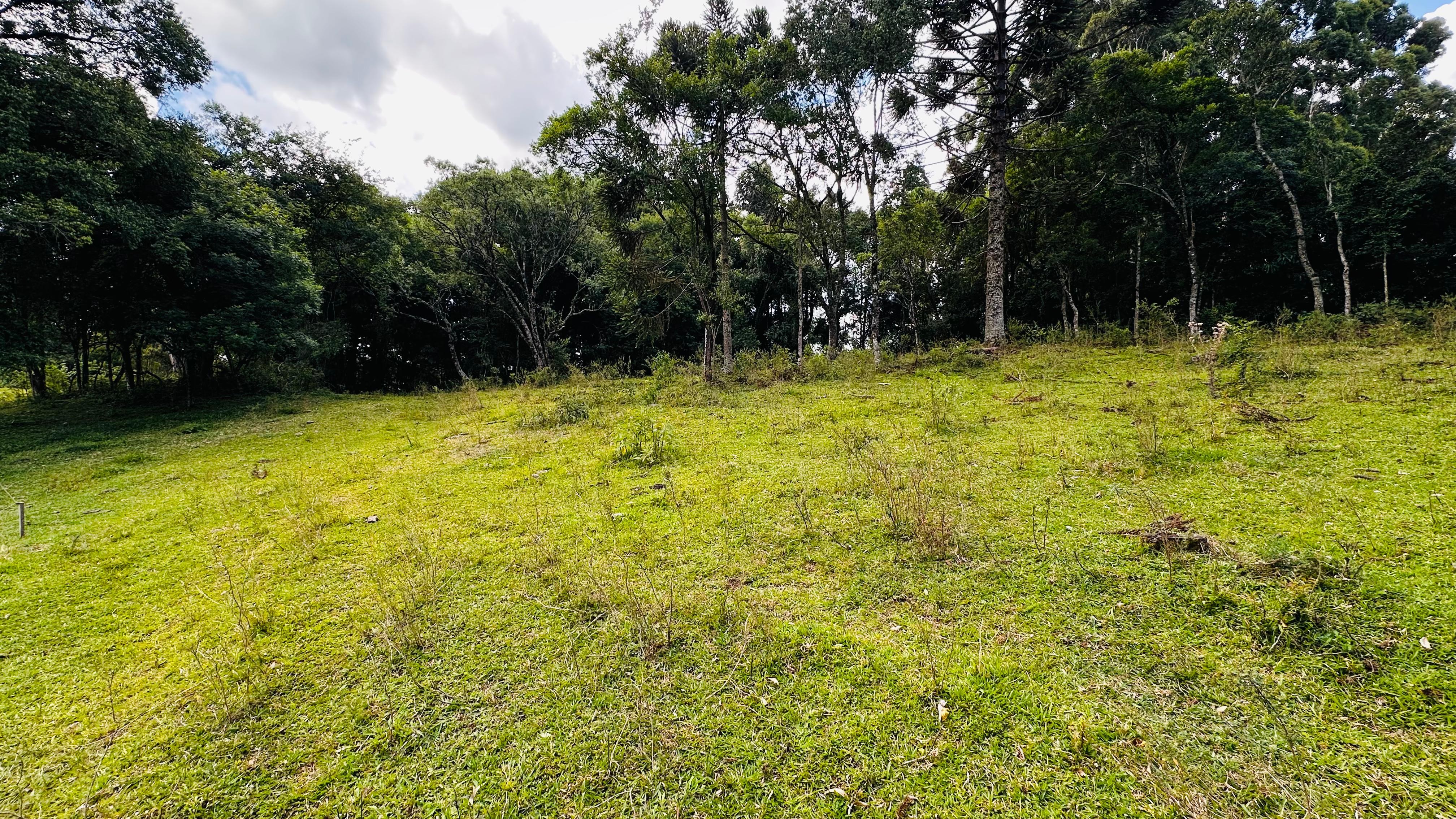 Fazenda à venda, 5000m² - Foto 3