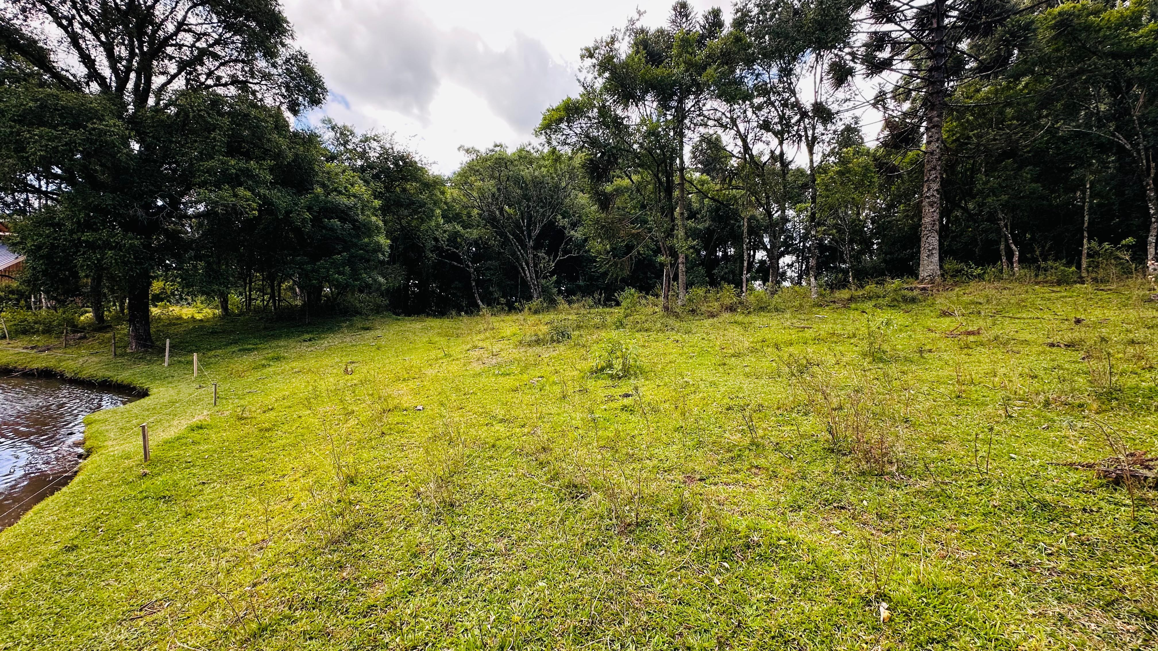 Fazenda à venda, 5000m² - Foto 4