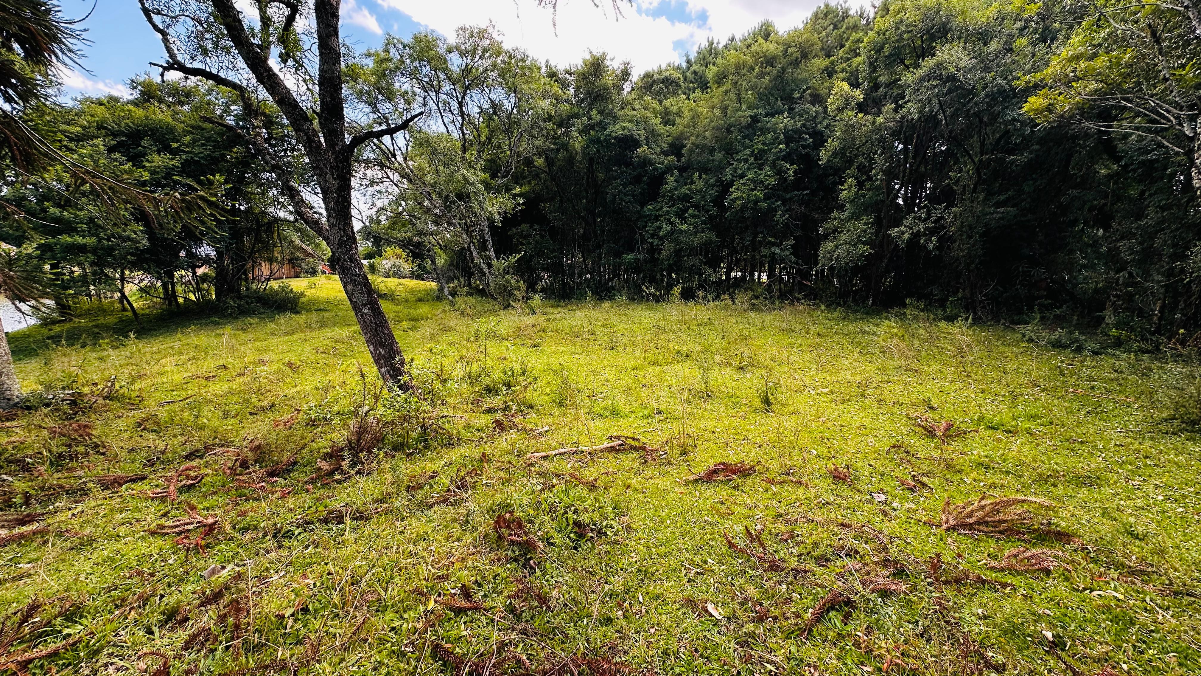 Fazenda à venda, 5000m² - Foto 5