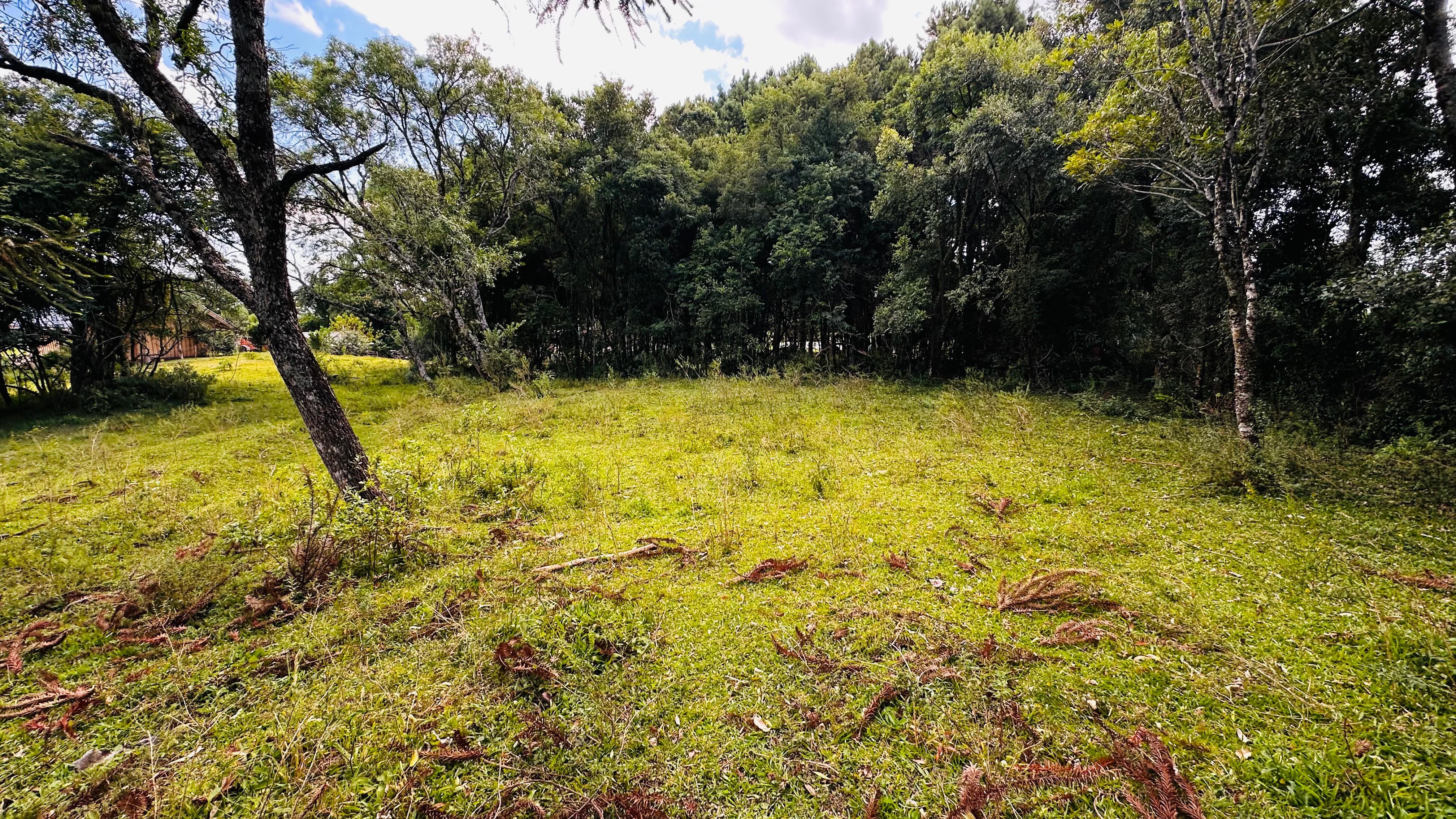 Fazenda à venda, 5000m² - Foto 6