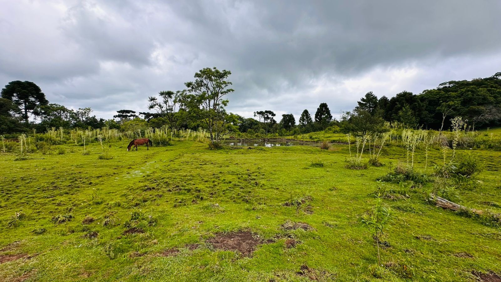 Fazenda à venda, 13811m² - Foto 10