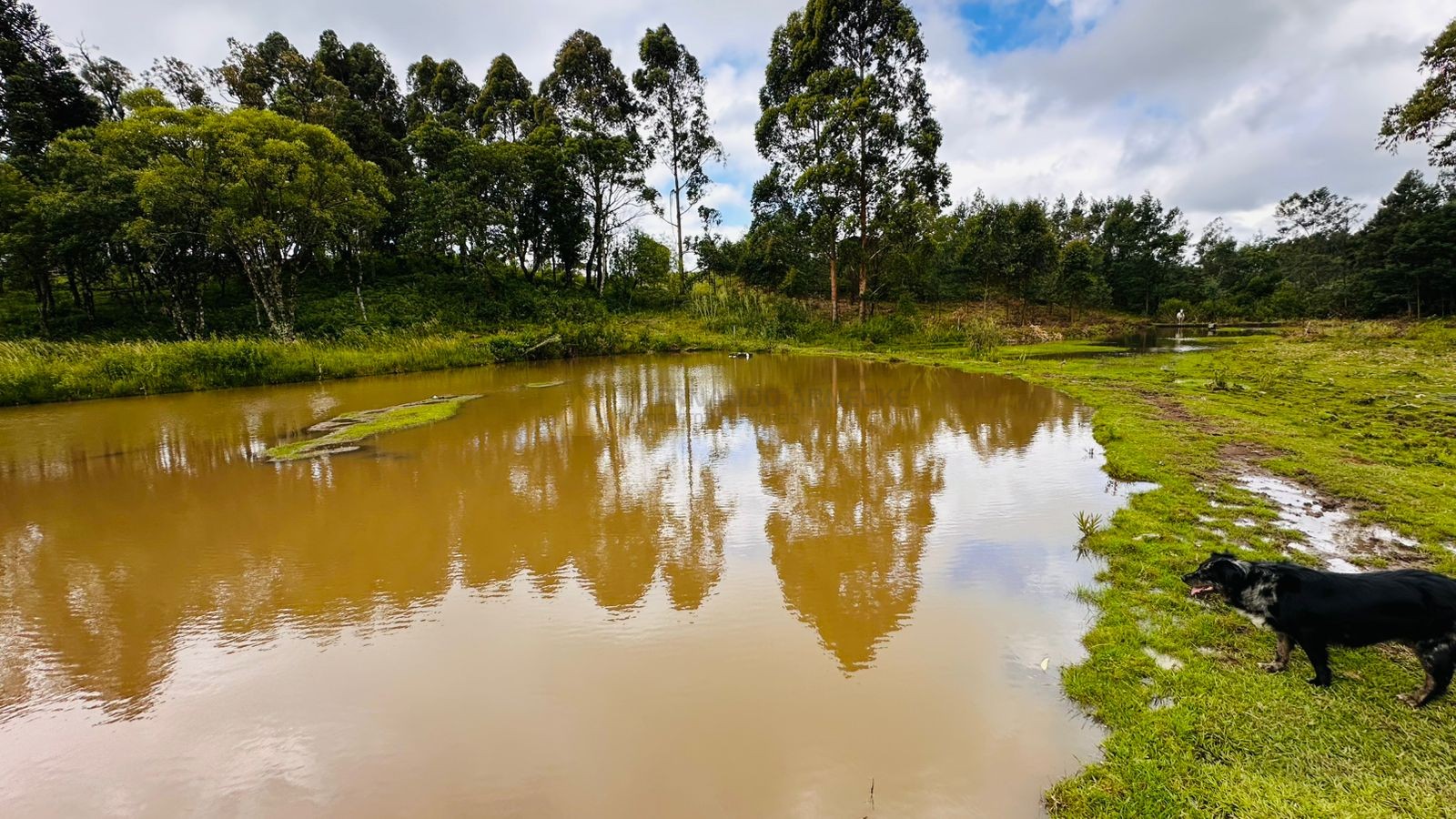 Fazenda à venda, 13811m² - Foto 12