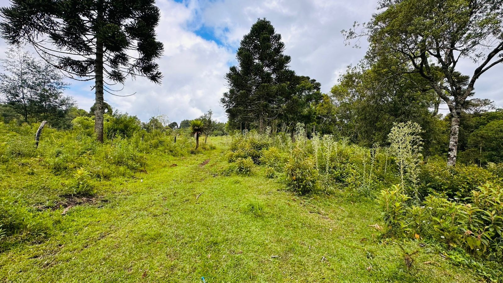 Fazenda à venda, 13811m² - Foto 14