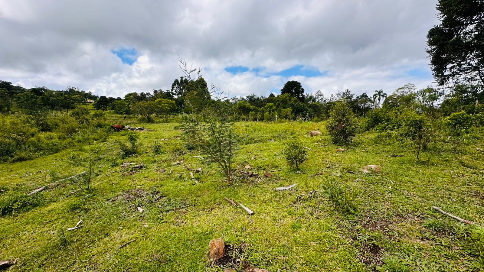 Fazenda à venda, 13811m² - Foto 19