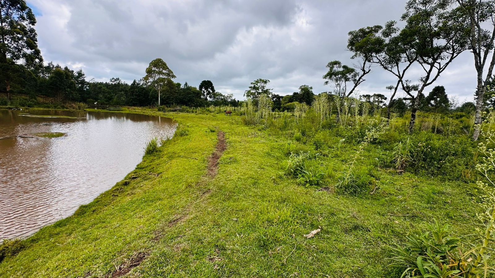 Fazenda à venda, 13811m² - Foto 2