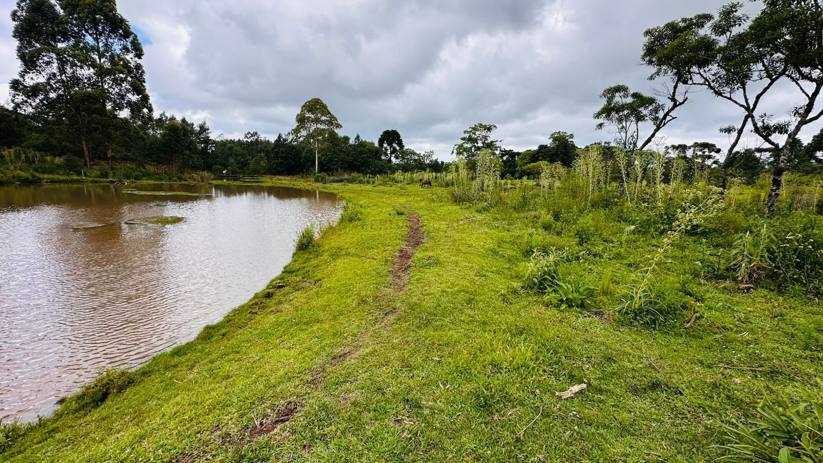 Fazenda à venda, 13811m² - Foto 3