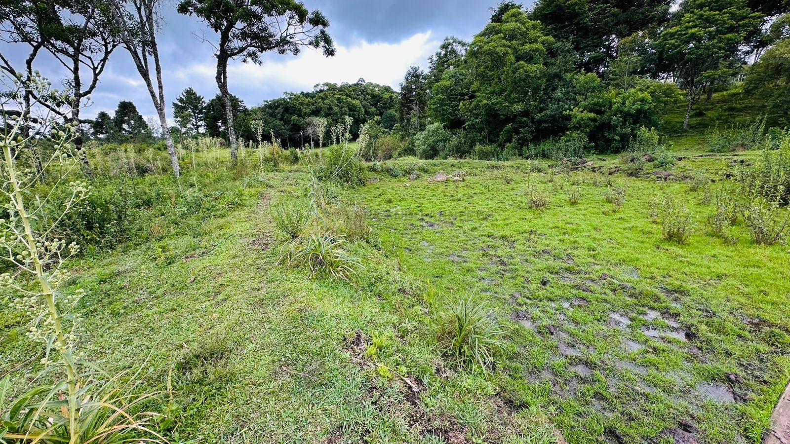 Fazenda à venda, 13811m² - Foto 5