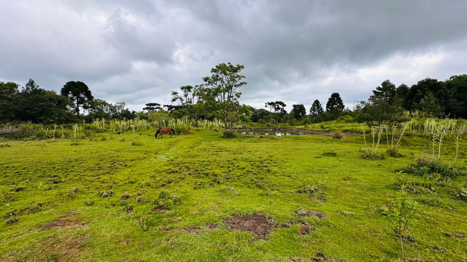 Fazenda à venda, 13811m² - Foto 6