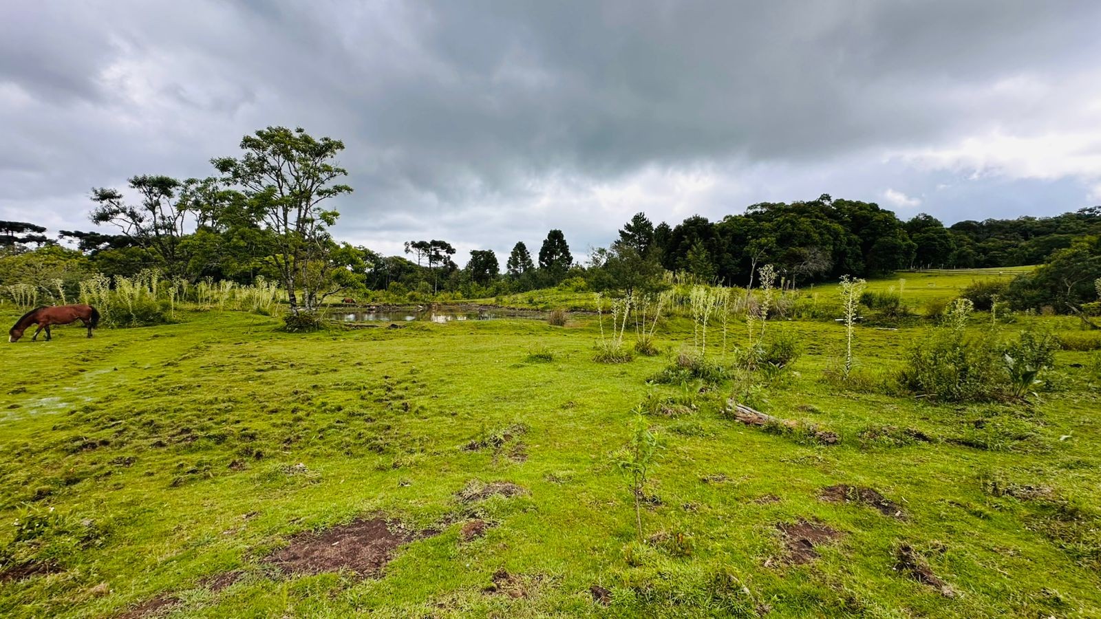 Fazenda à venda, 13811m² - Foto 7