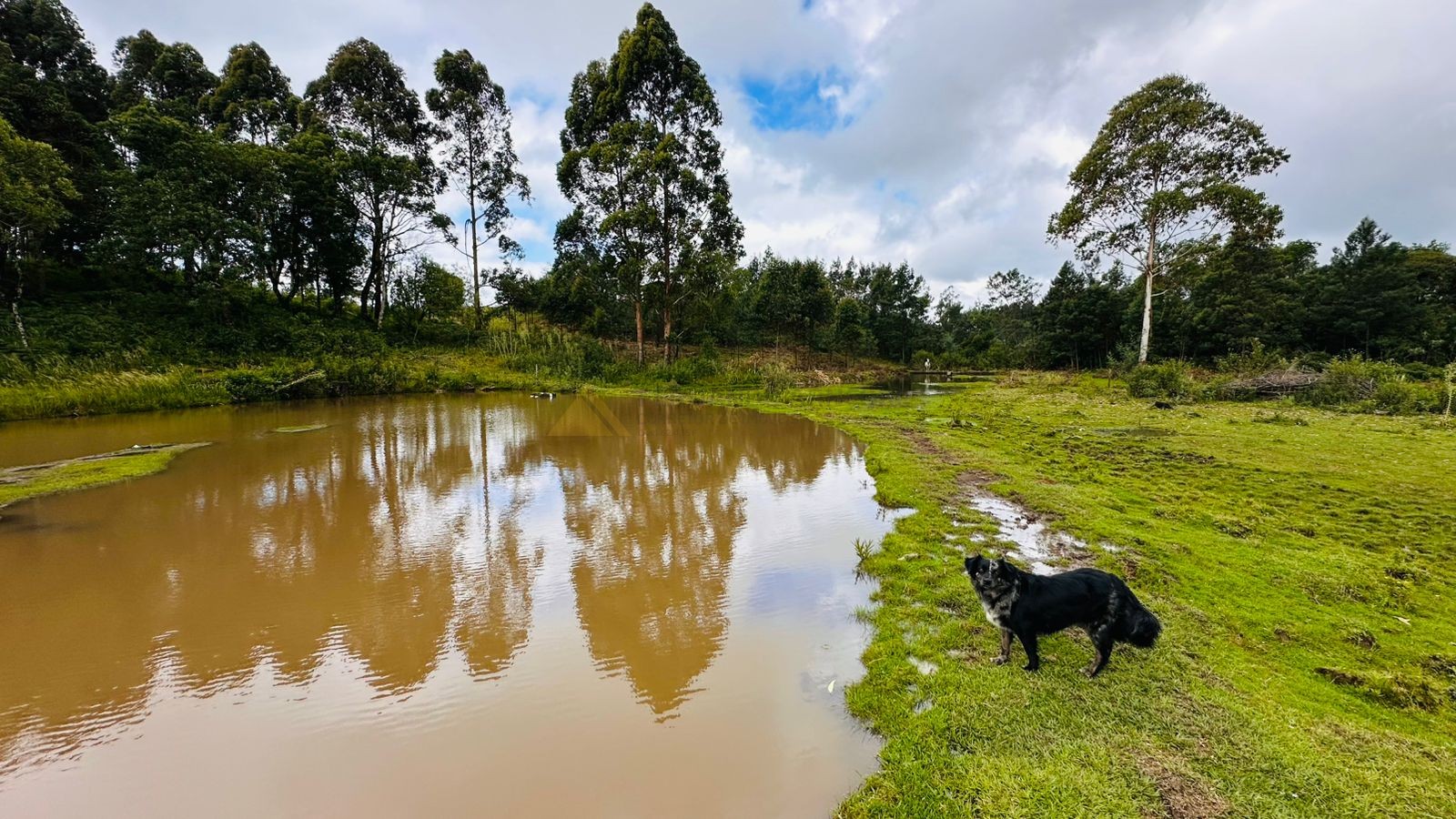 Fazenda à venda, 13811m² - Foto 8