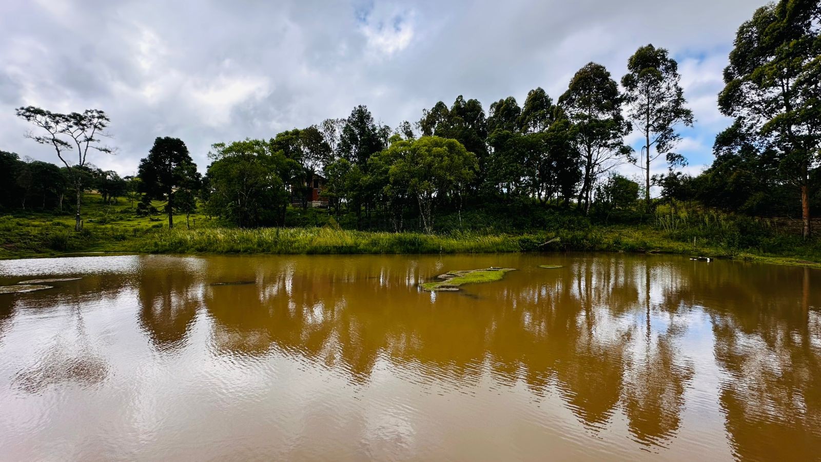 Fazenda à venda, 13811m² - Foto 9