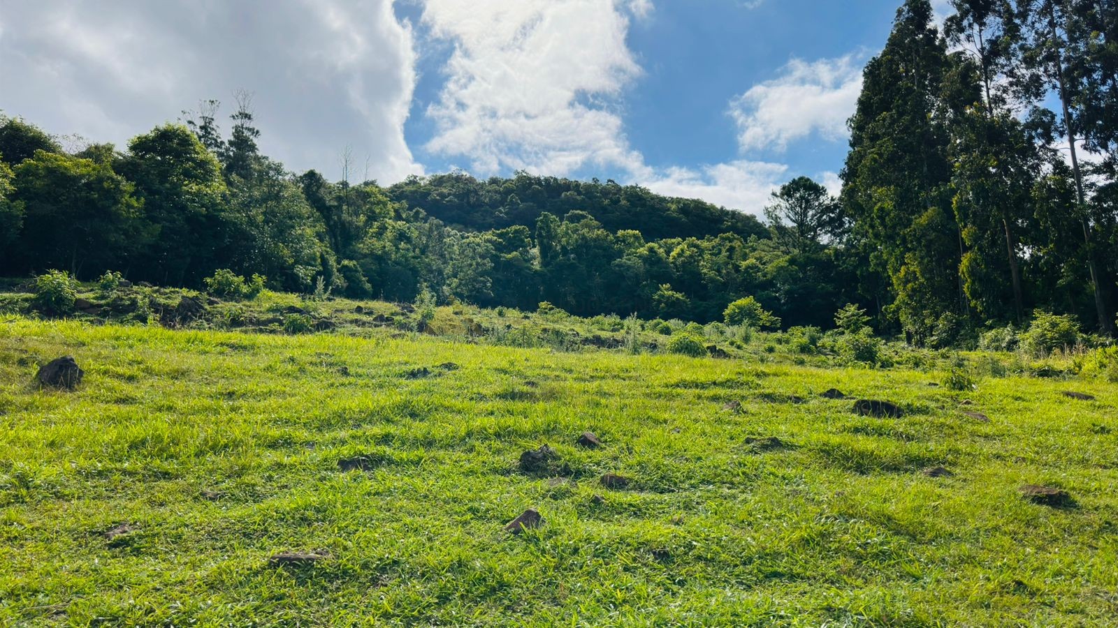 Fazenda à venda com 3 quartos, 15540m² - Foto 10