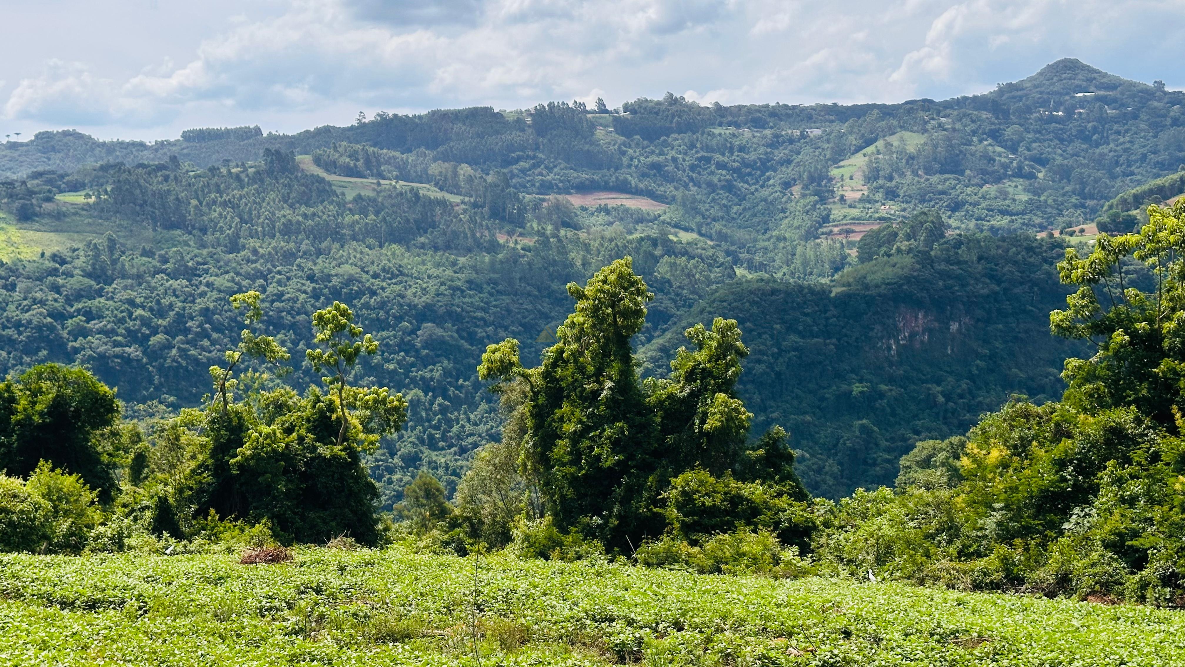 Fazenda à venda, 40000m² - Foto 1