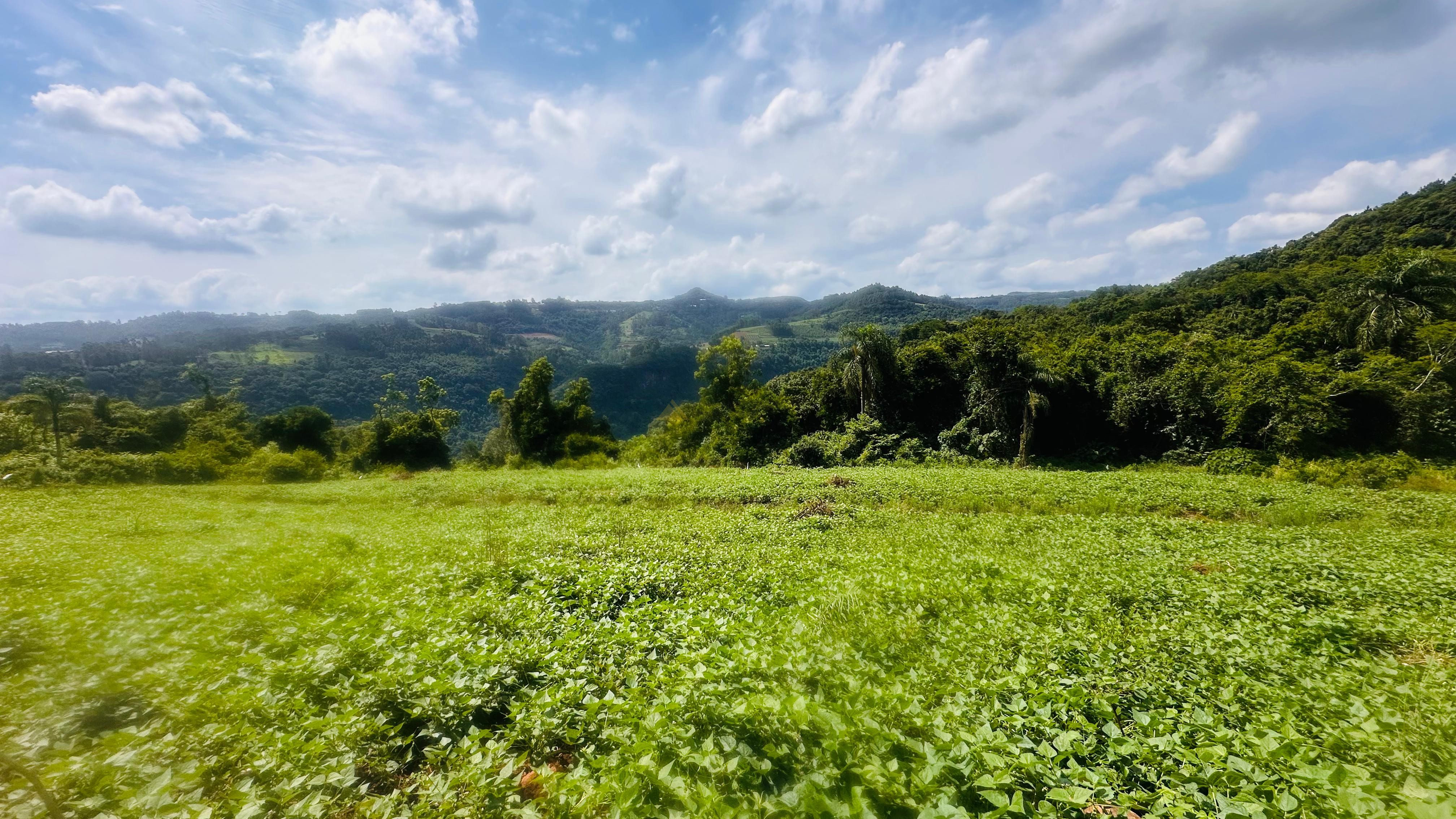 Fazenda à venda, 40000m² - Foto 15