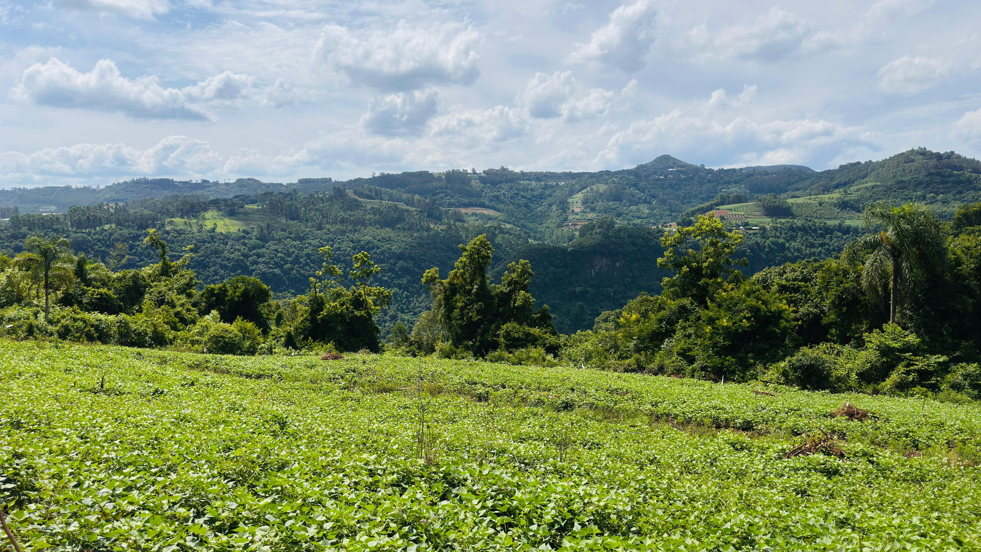 Fazenda à venda, 40000m² - Foto 17