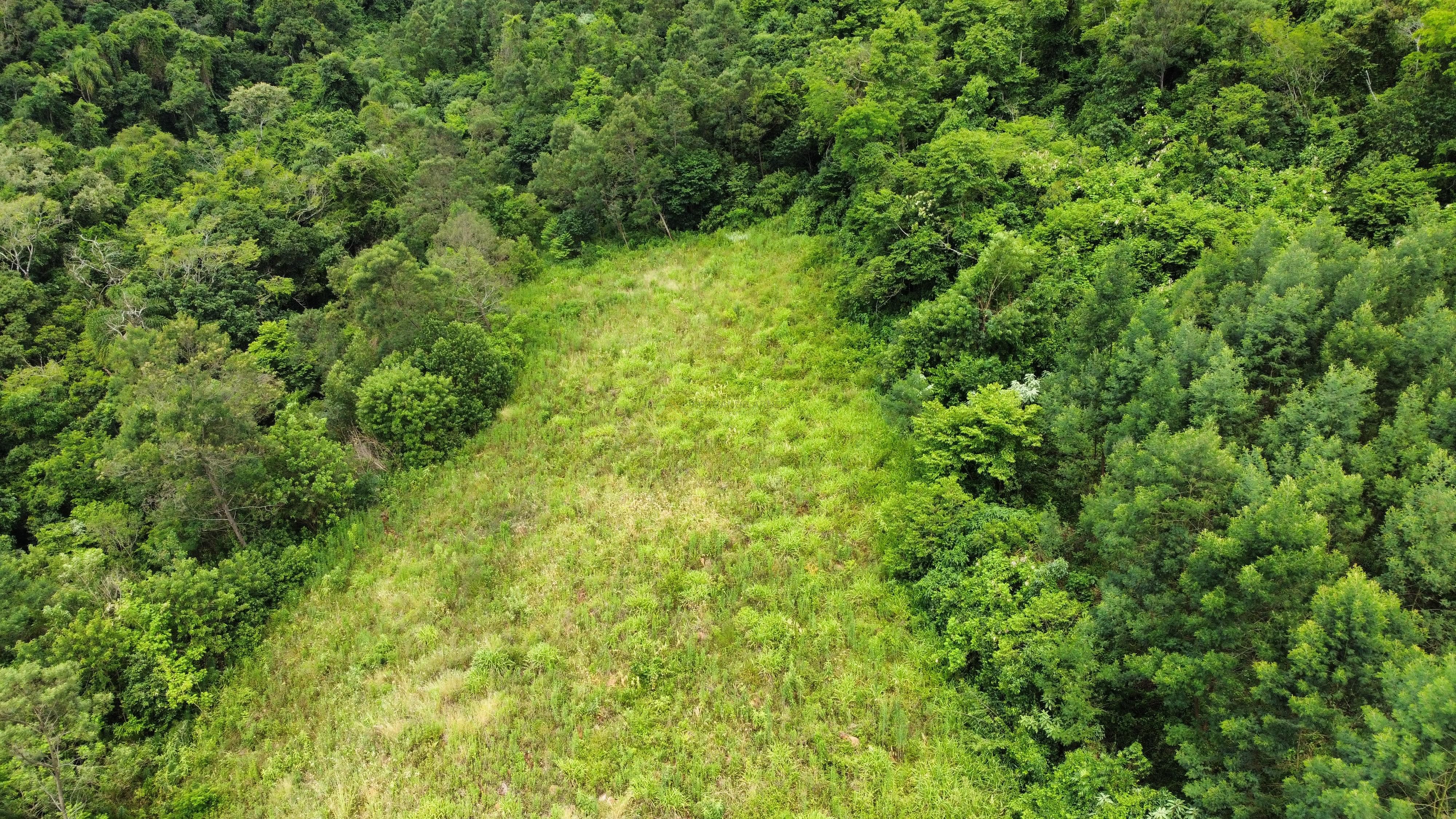 Fazenda à venda, 40000m² - Foto 18