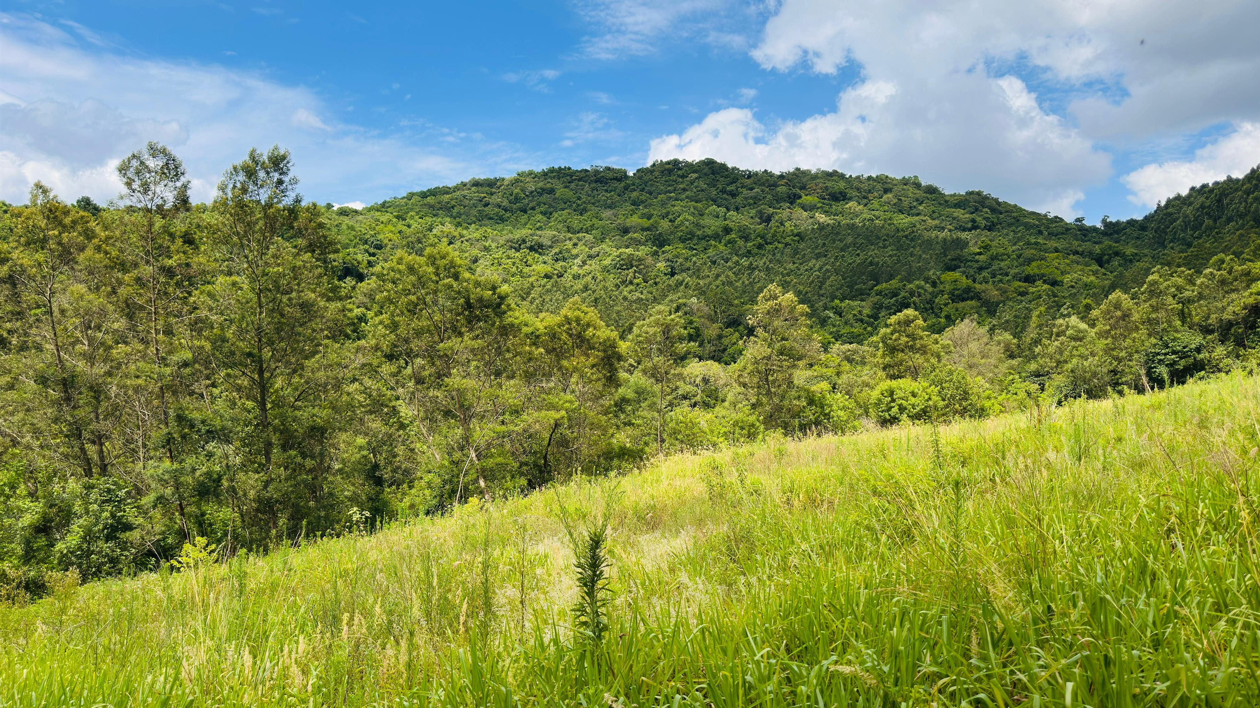 Fazenda à venda, 40000m² - Foto 19