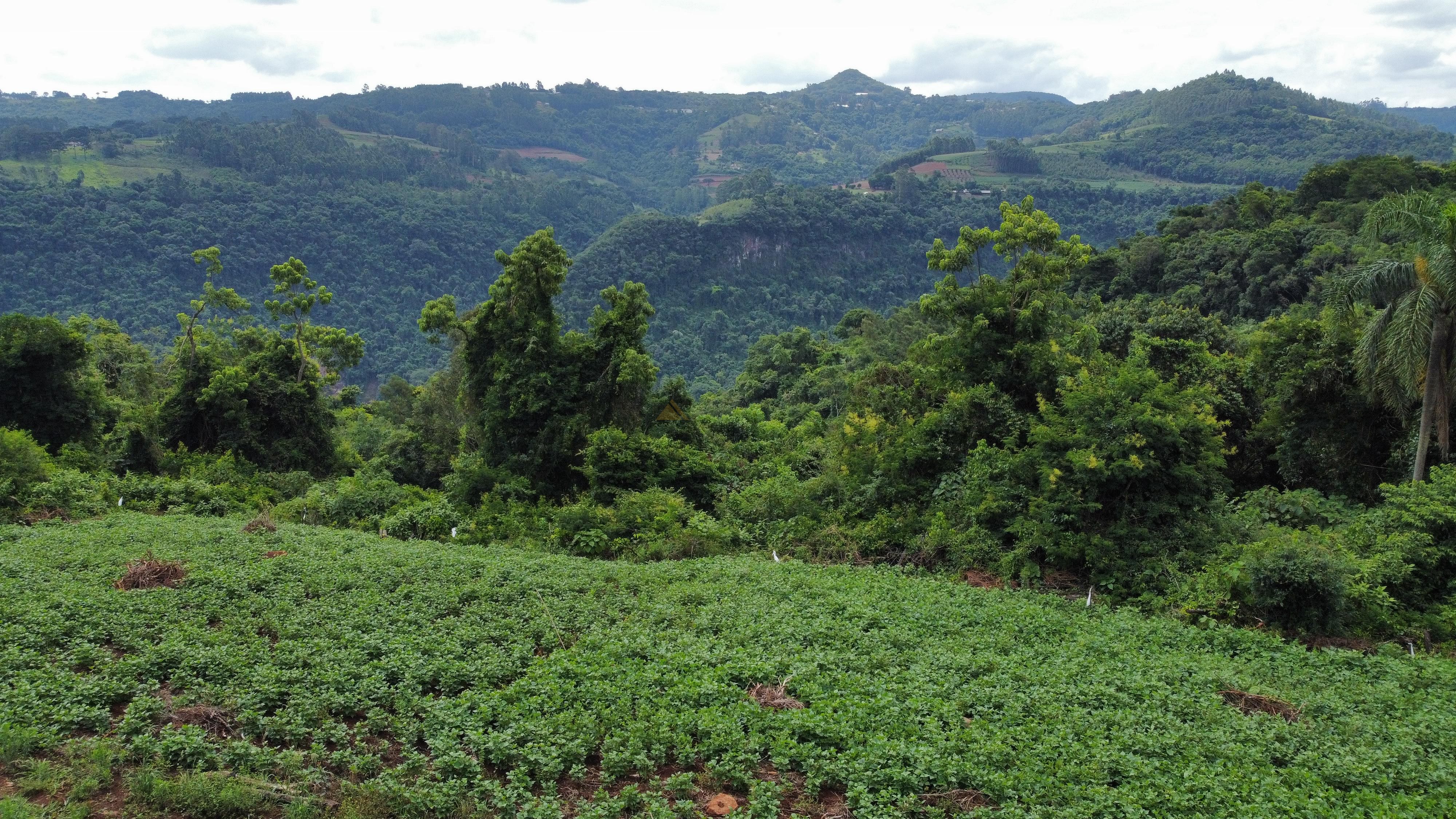 Fazenda à venda, 40000m² - Foto 2