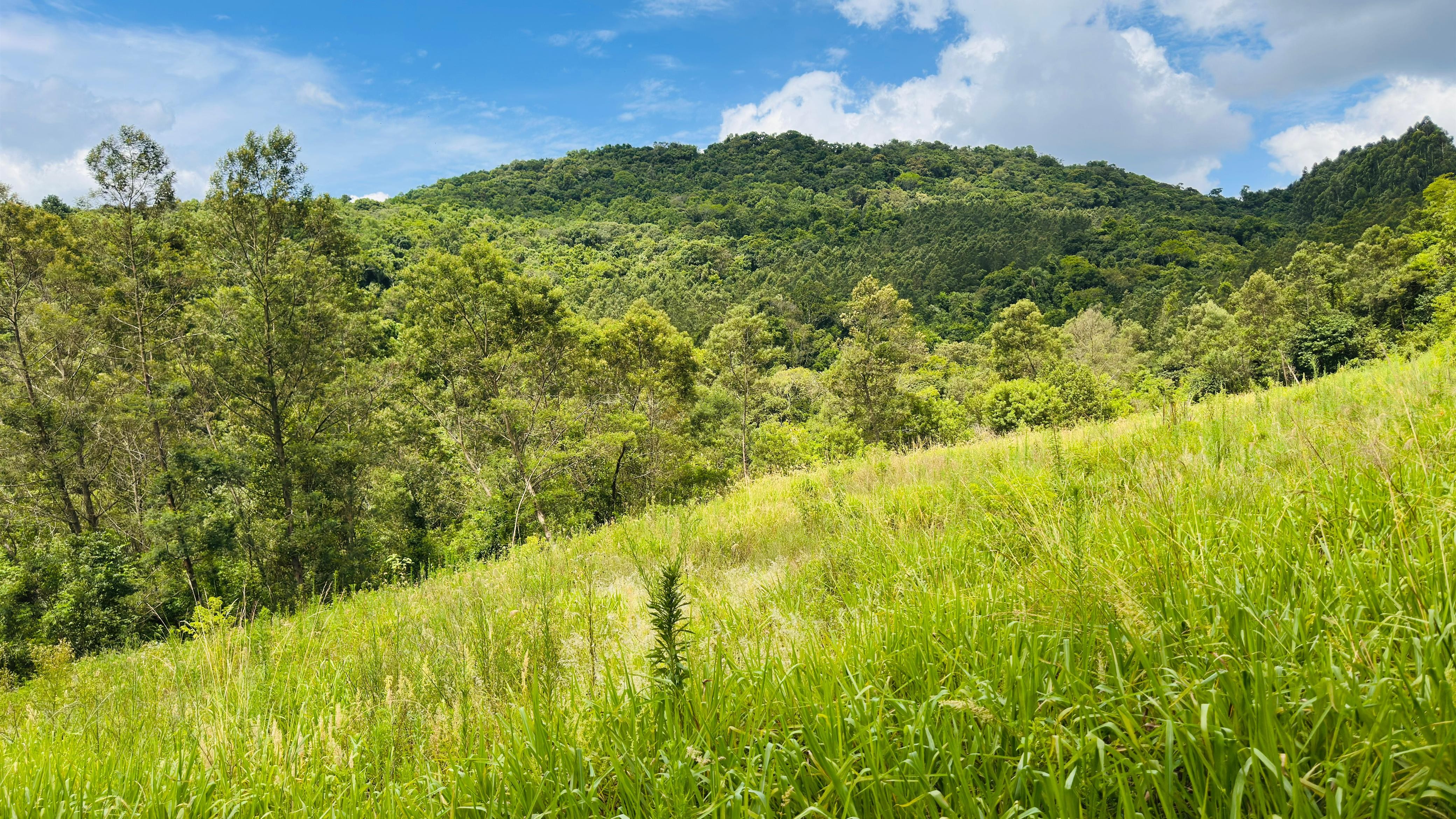 Fazenda à venda, 40000m² - Foto 20