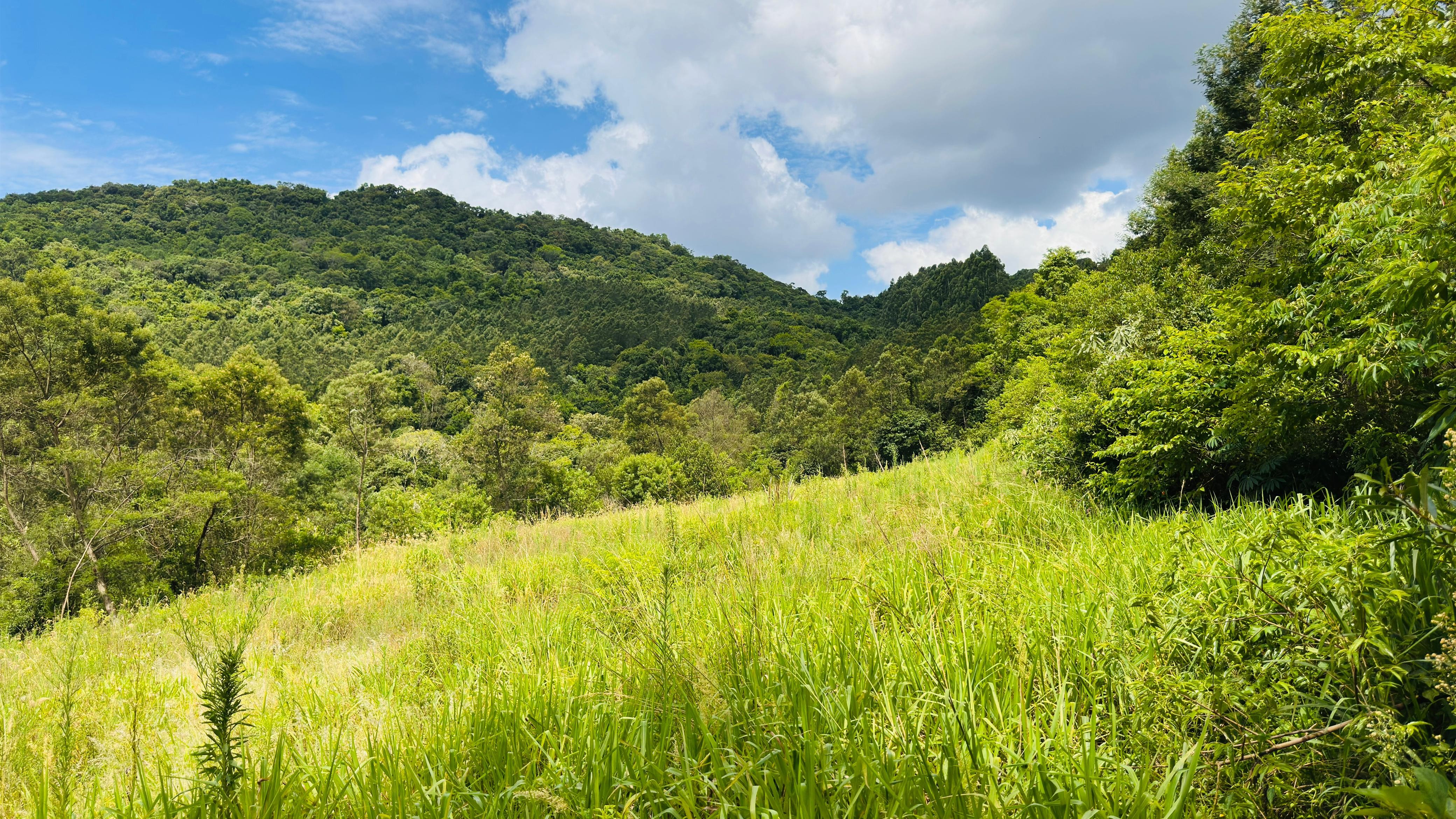 Fazenda à venda, 40000m² - Foto 21