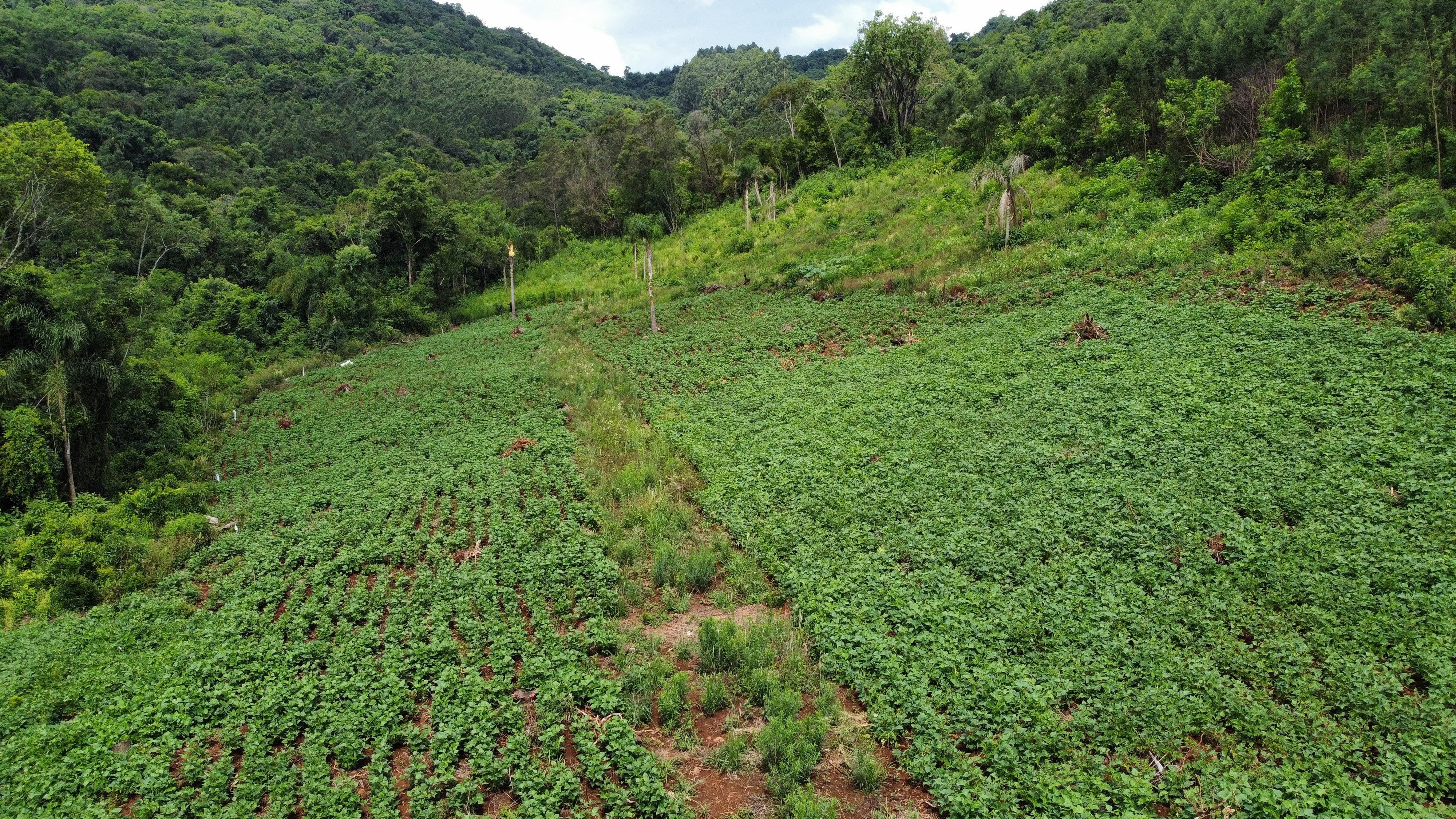 Fazenda à venda, 40000m² - Foto 5