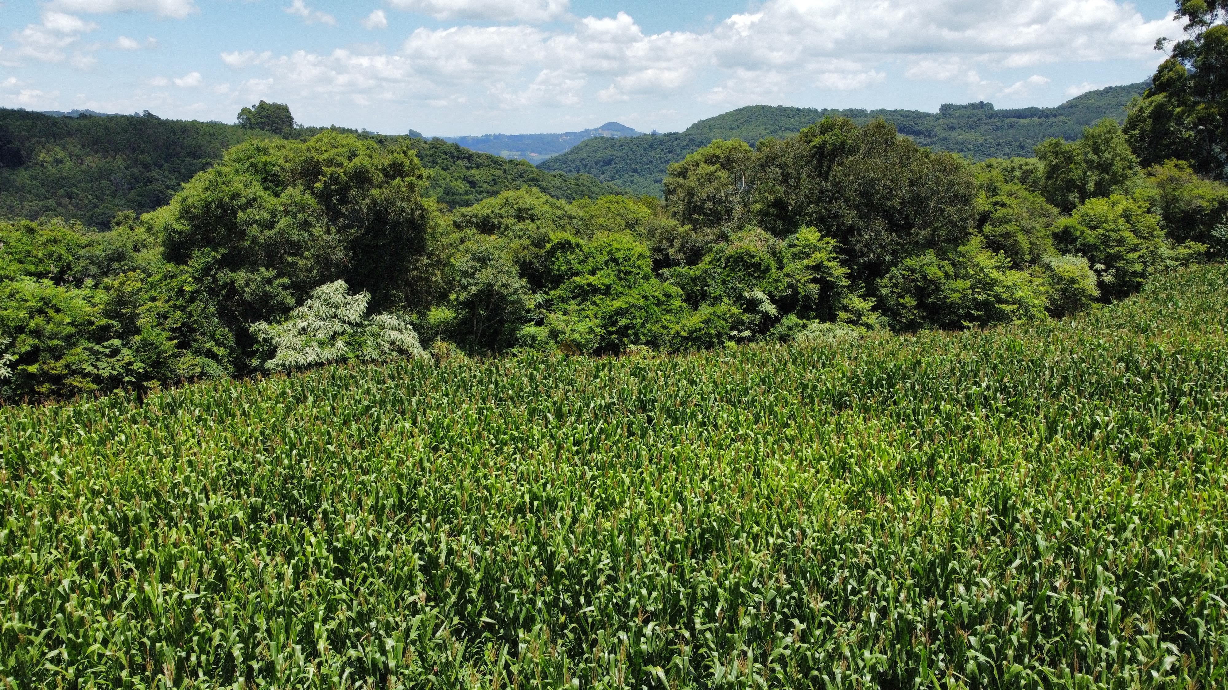 Fazenda à venda com 6 quartos, 140000m² - Foto 10