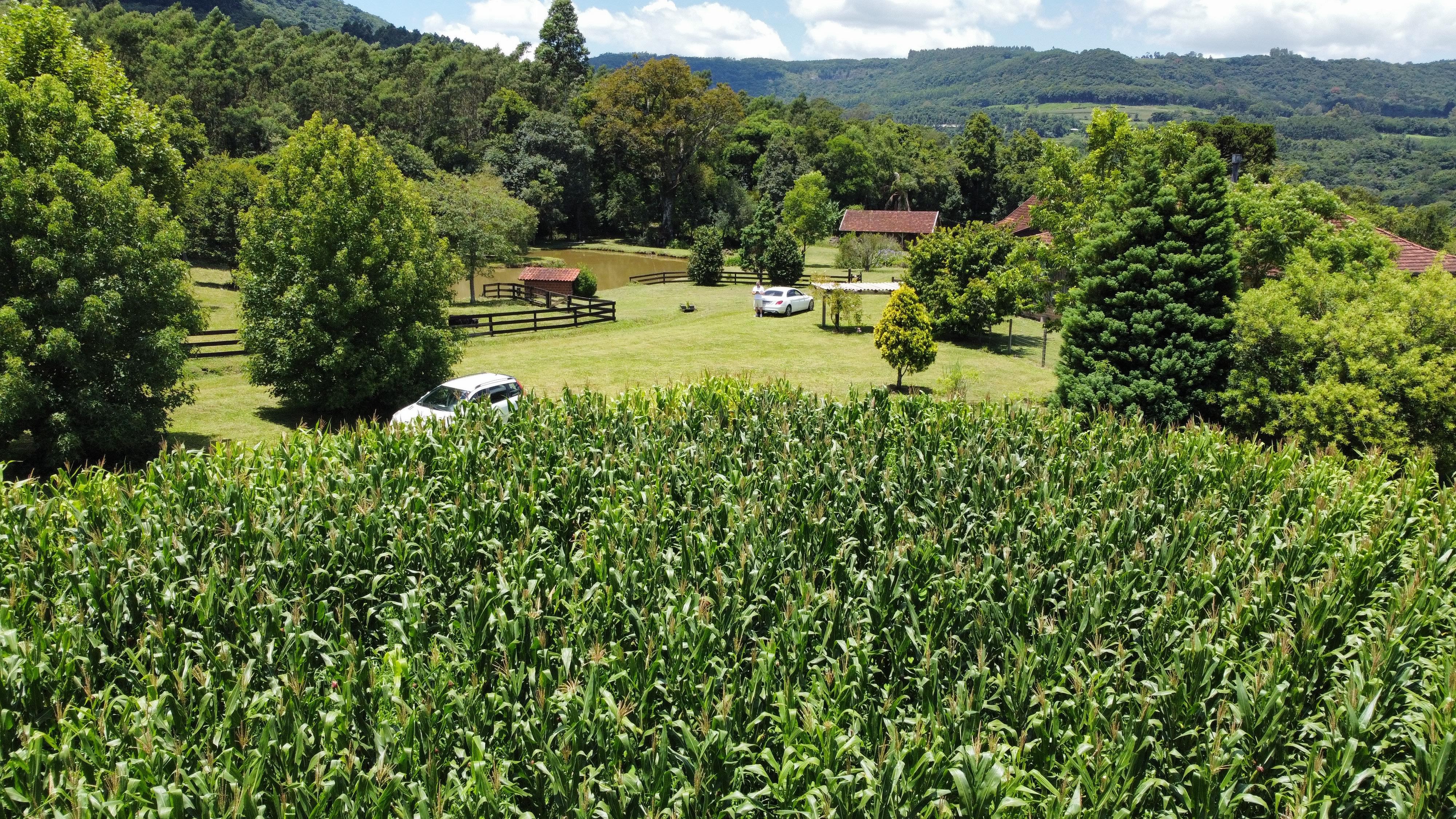 Fazenda à venda com 6 quartos, 140000m² - Foto 11