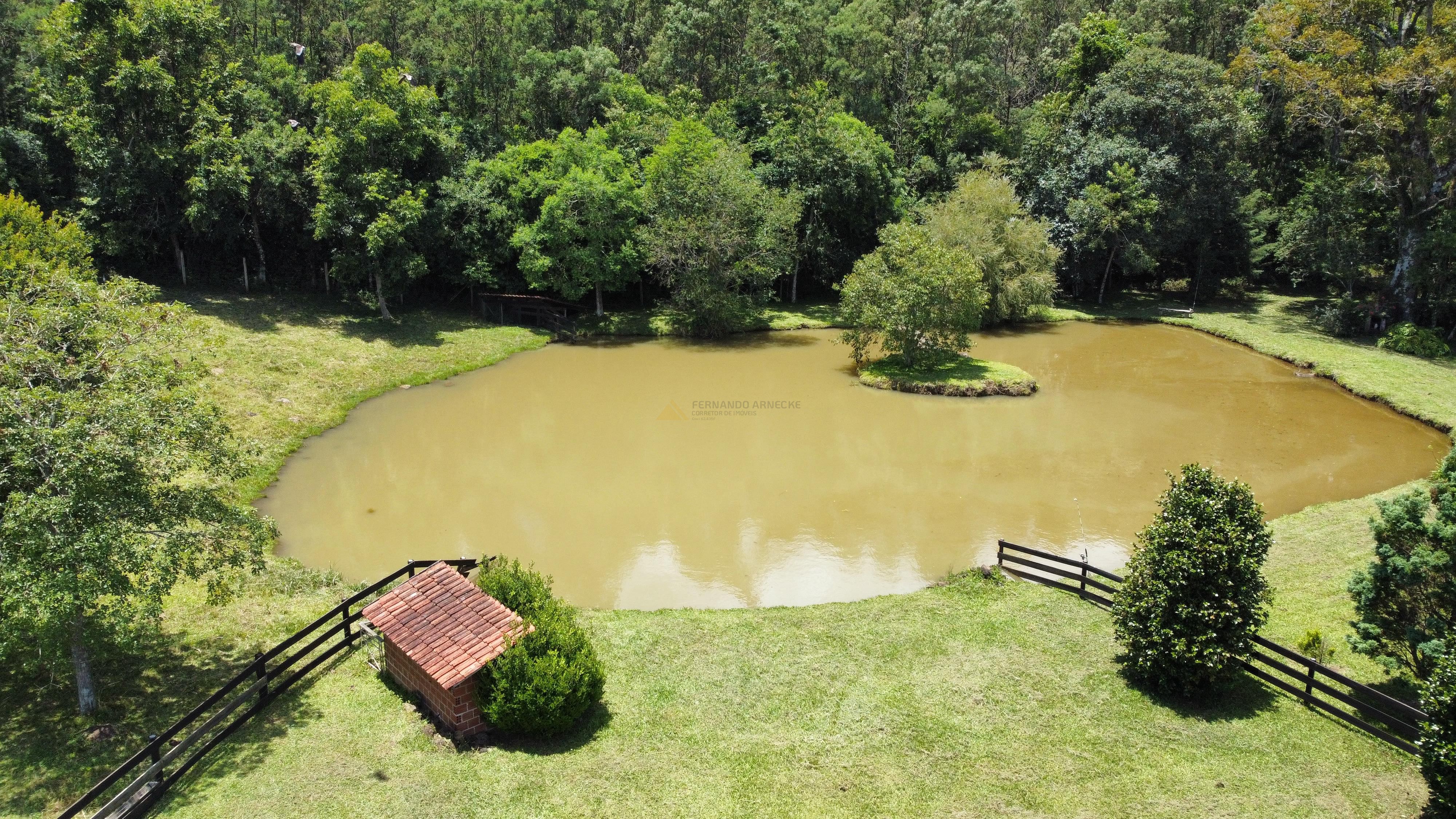 Fazenda à venda com 6 quartos, 140000m² - Foto 14