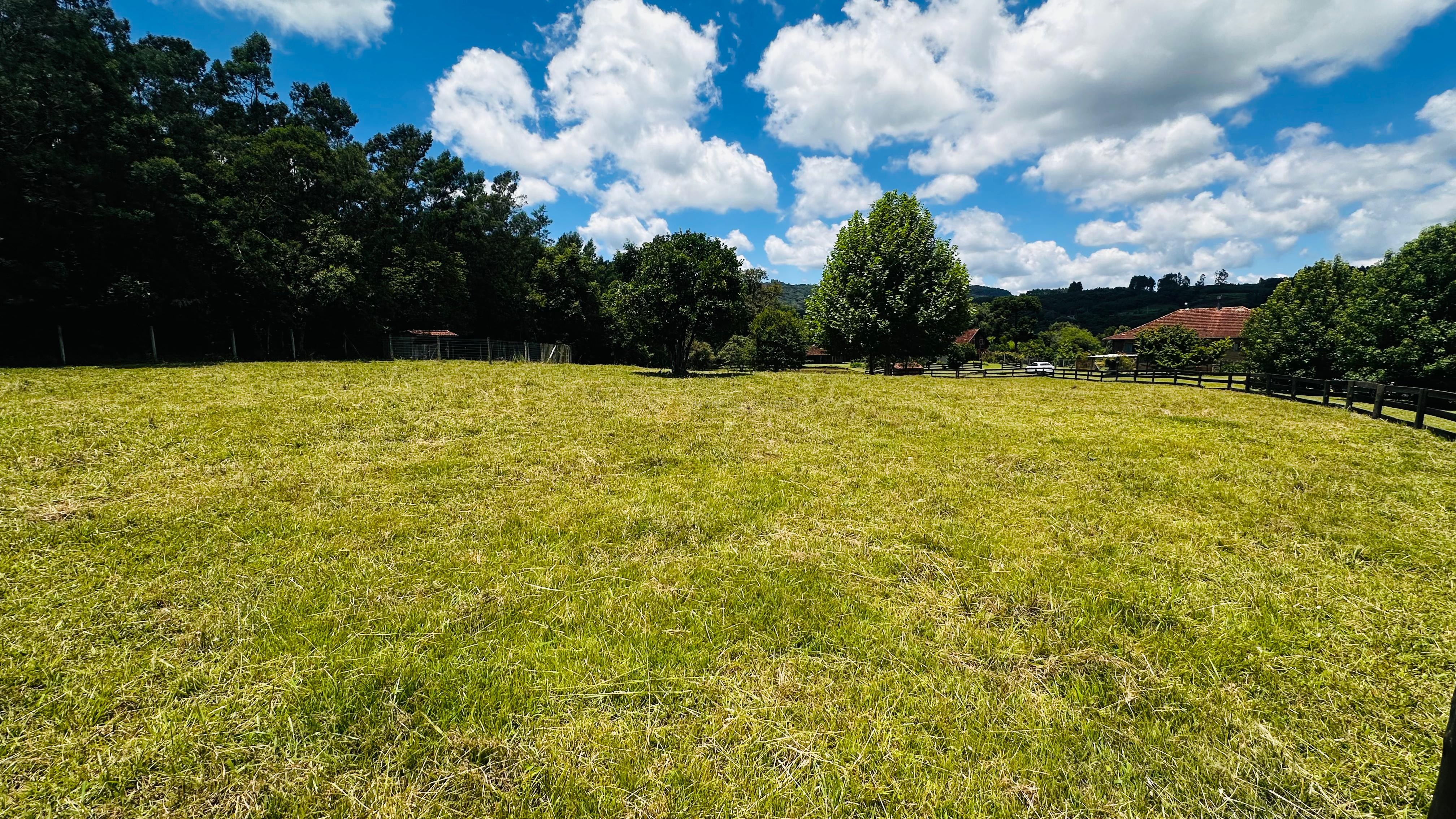 Fazenda à venda com 6 quartos, 140000m² - Foto 15