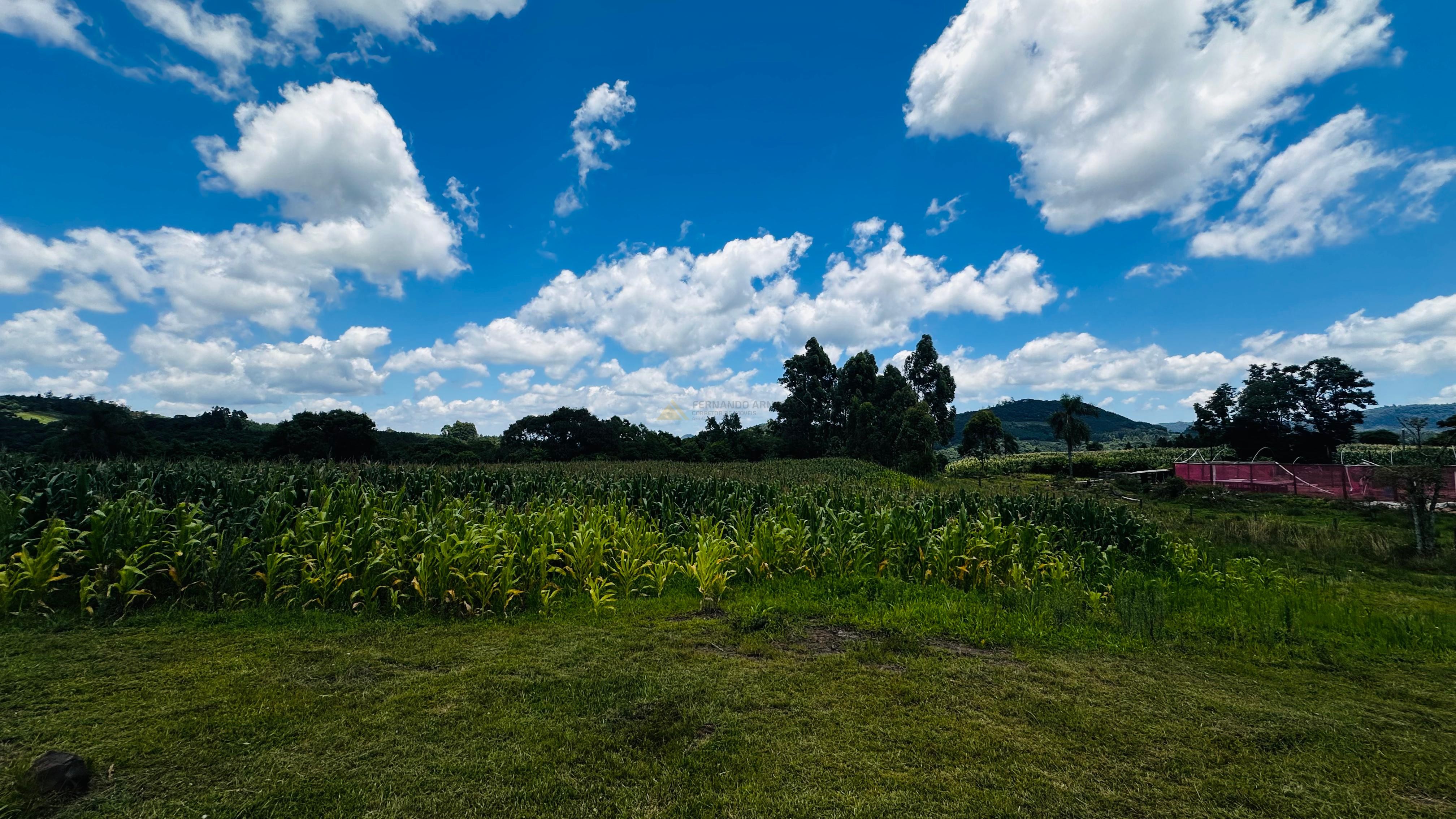 Fazenda à venda com 6 quartos, 140000m² - Foto 16