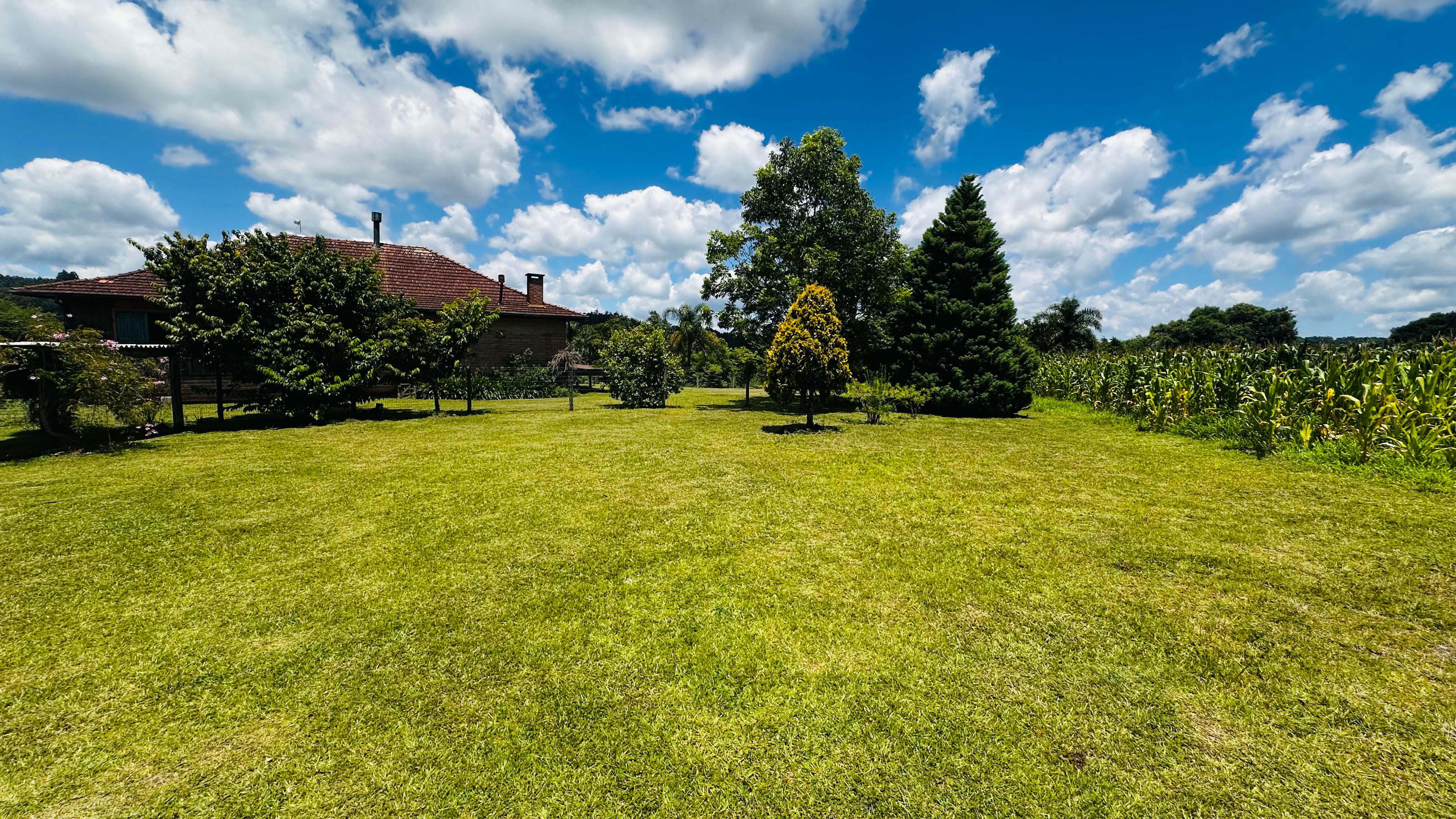 Fazenda à venda com 6 quartos, 140000m² - Foto 18