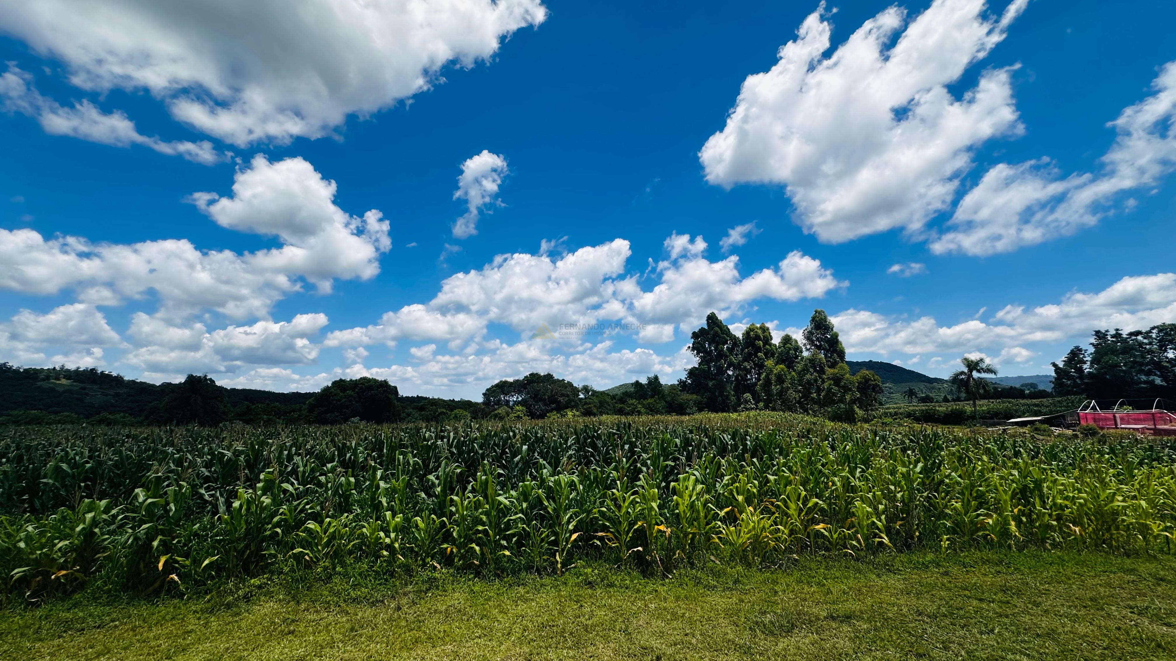 Fazenda à venda com 6 quartos, 140000m² - Foto 19