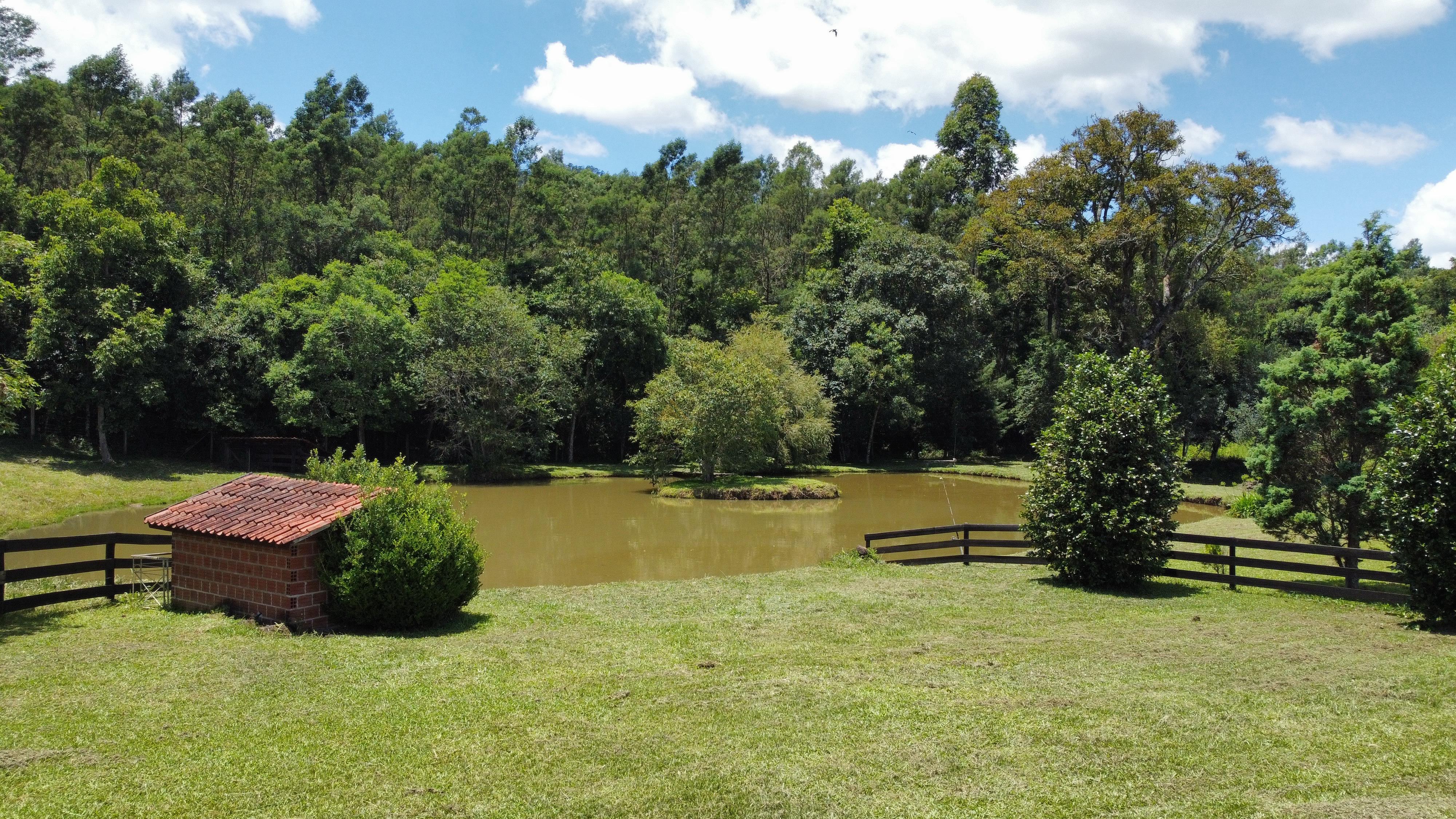 Fazenda à venda com 6 quartos, 140000m² - Foto 2