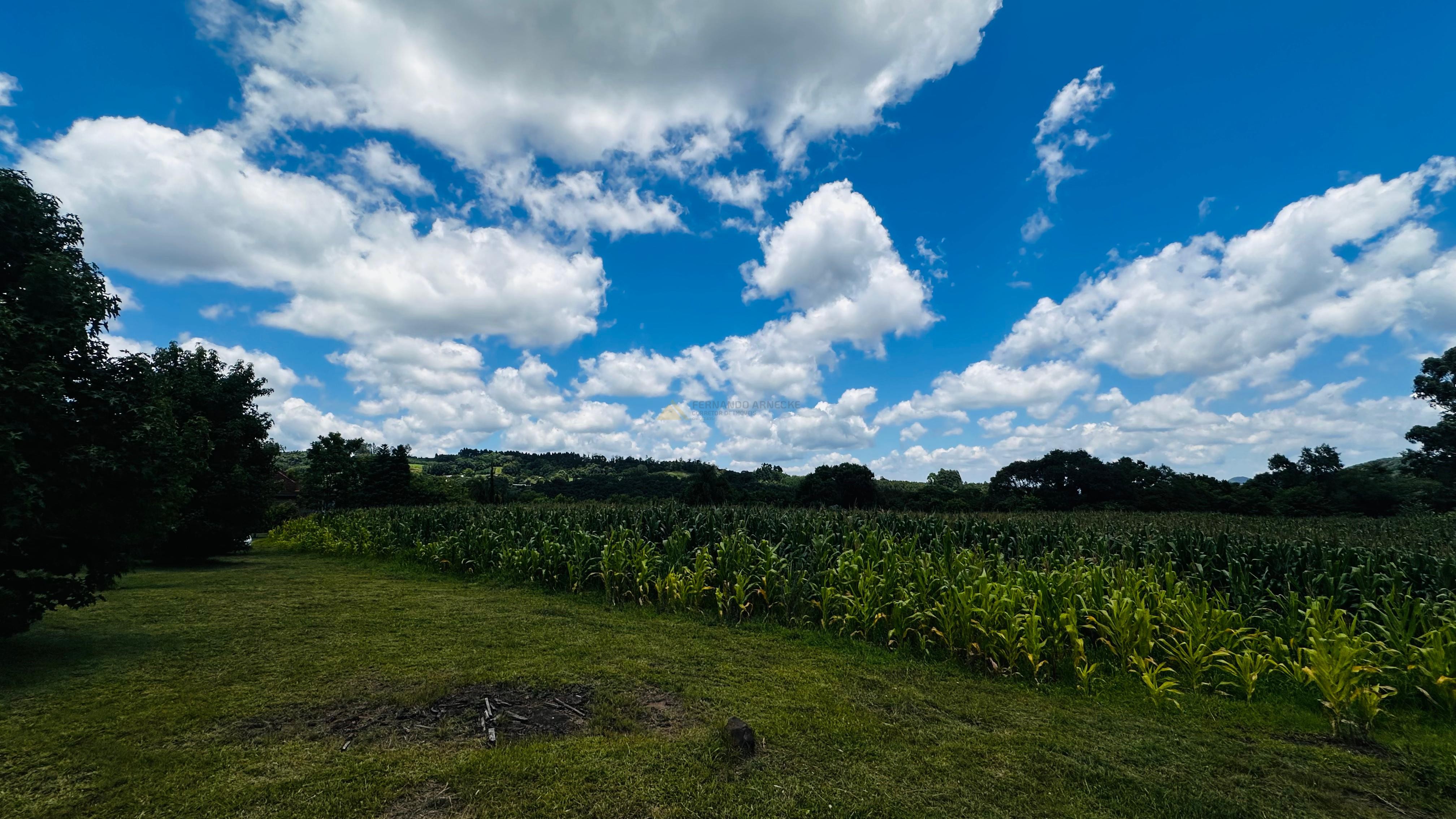 Fazenda à venda com 6 quartos, 140000m² - Foto 20