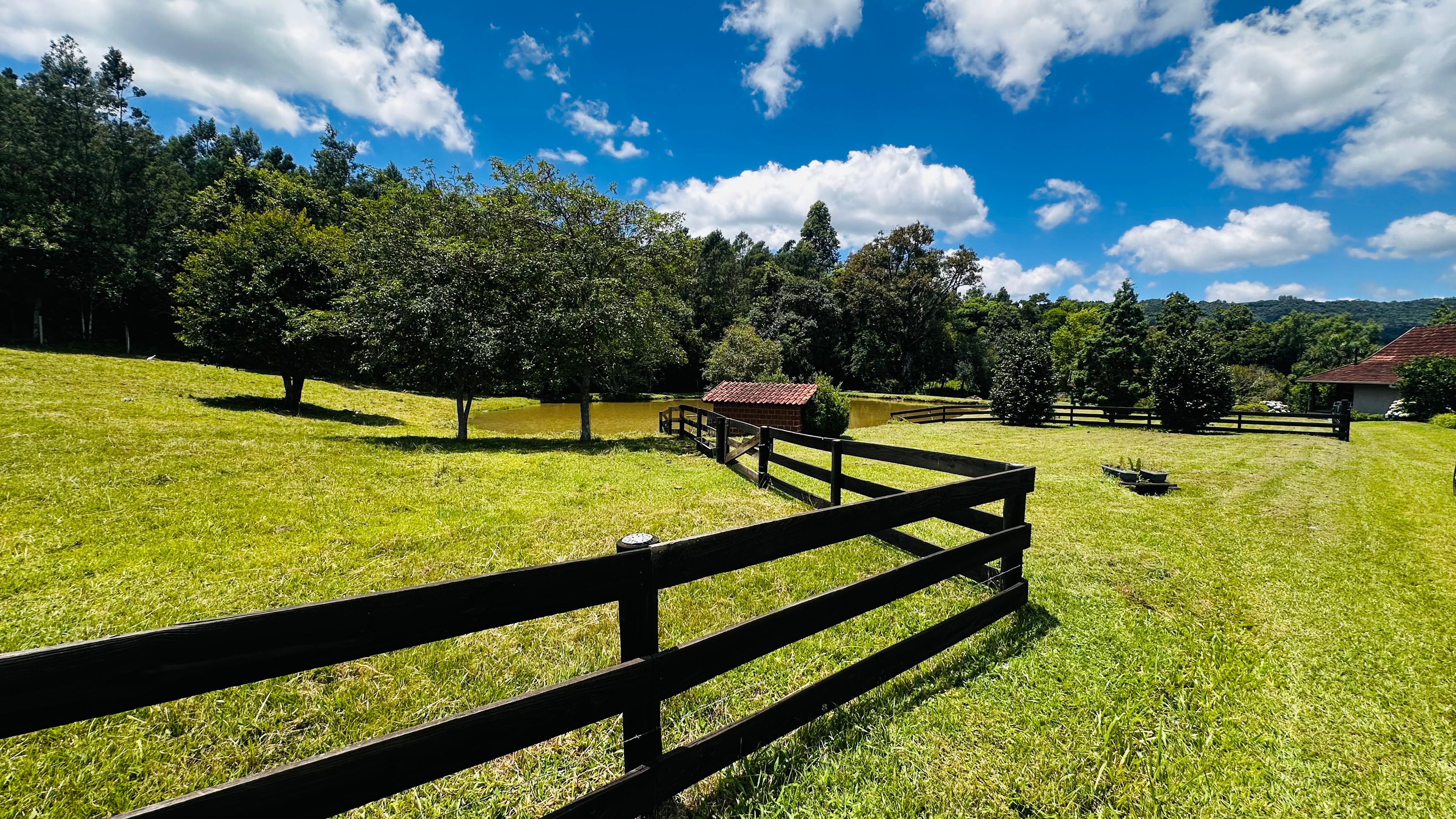 Fazenda à venda com 6 quartos, 140000m² - Foto 21