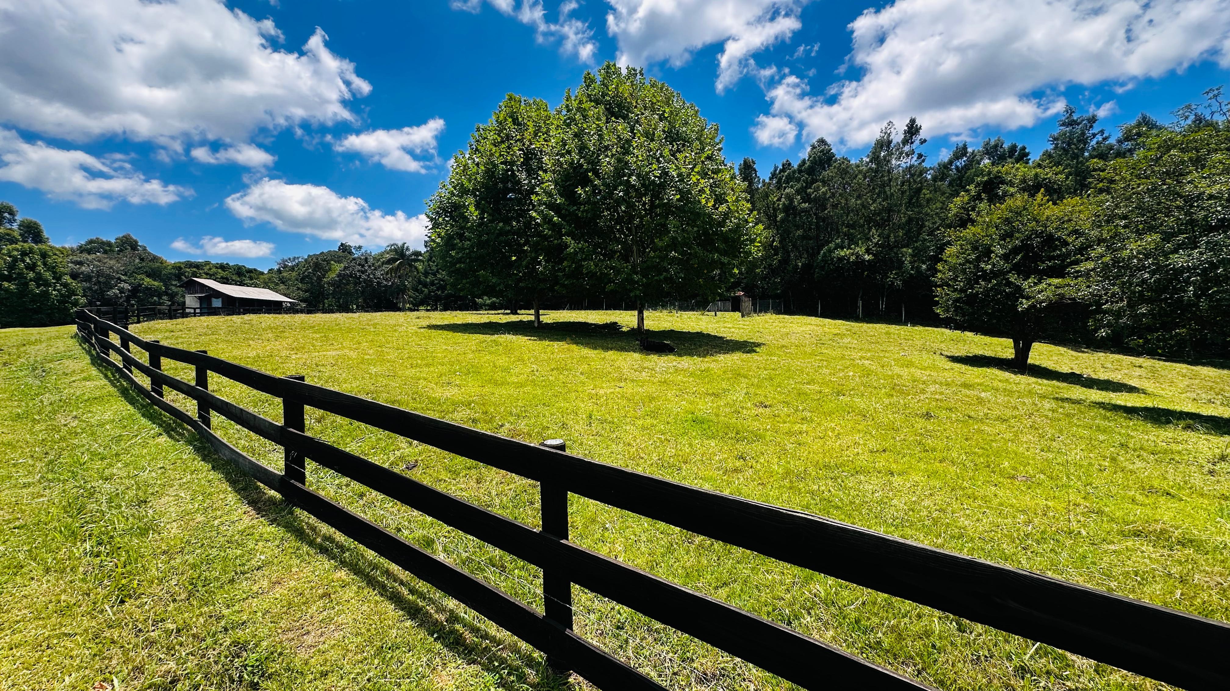 Fazenda à venda com 6 quartos, 140000m² - Foto 22