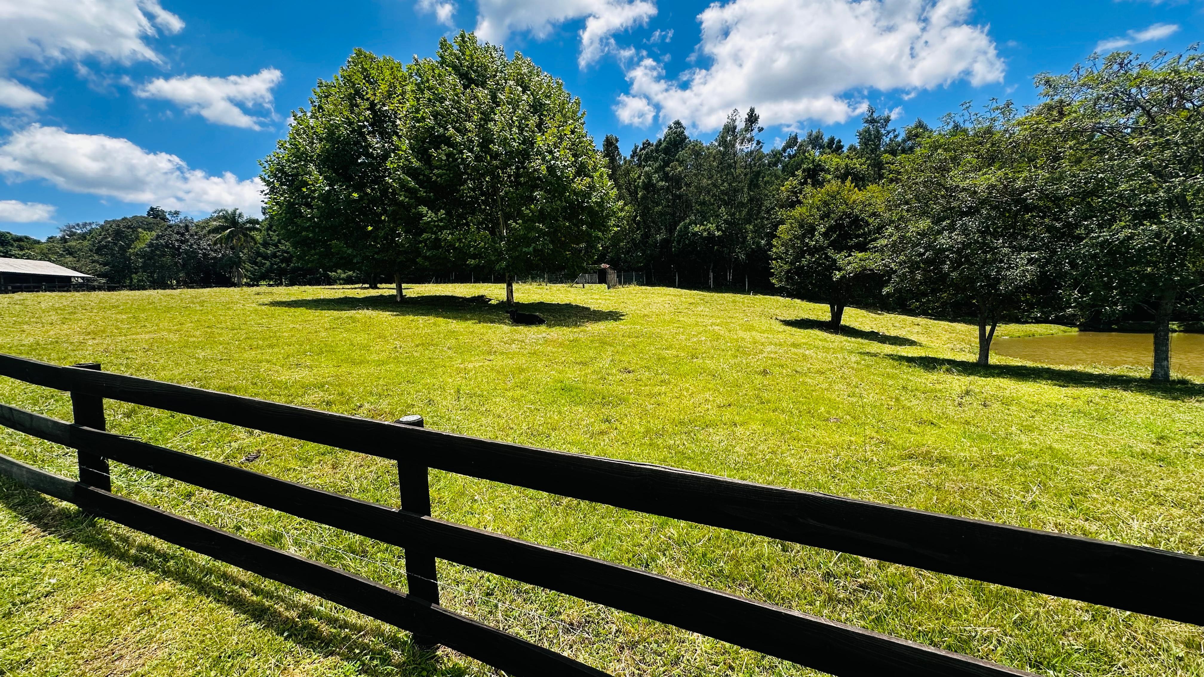 Fazenda à venda com 6 quartos, 140000m² - Foto 23