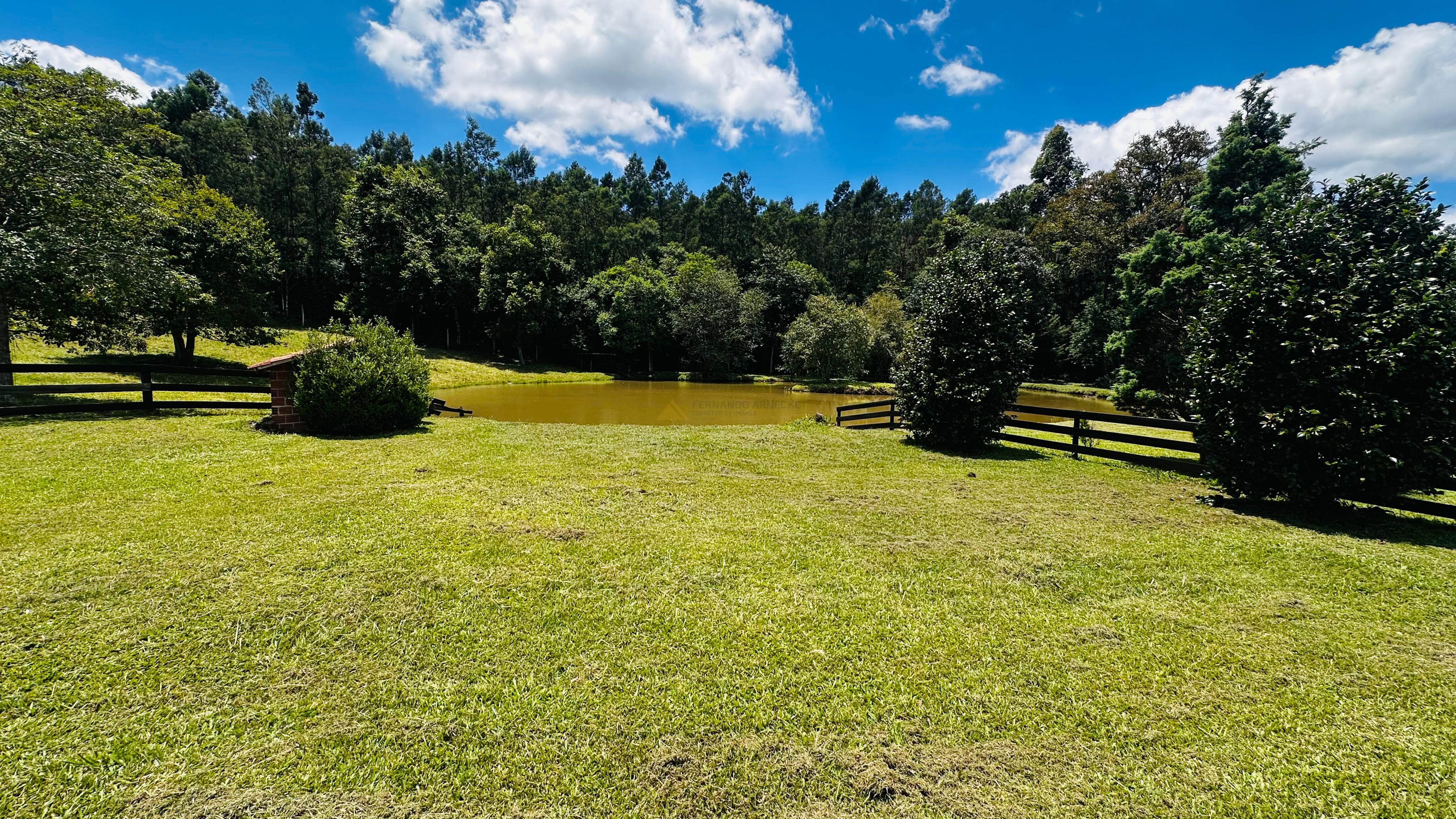 Fazenda à venda com 6 quartos, 140000m² - Foto 24