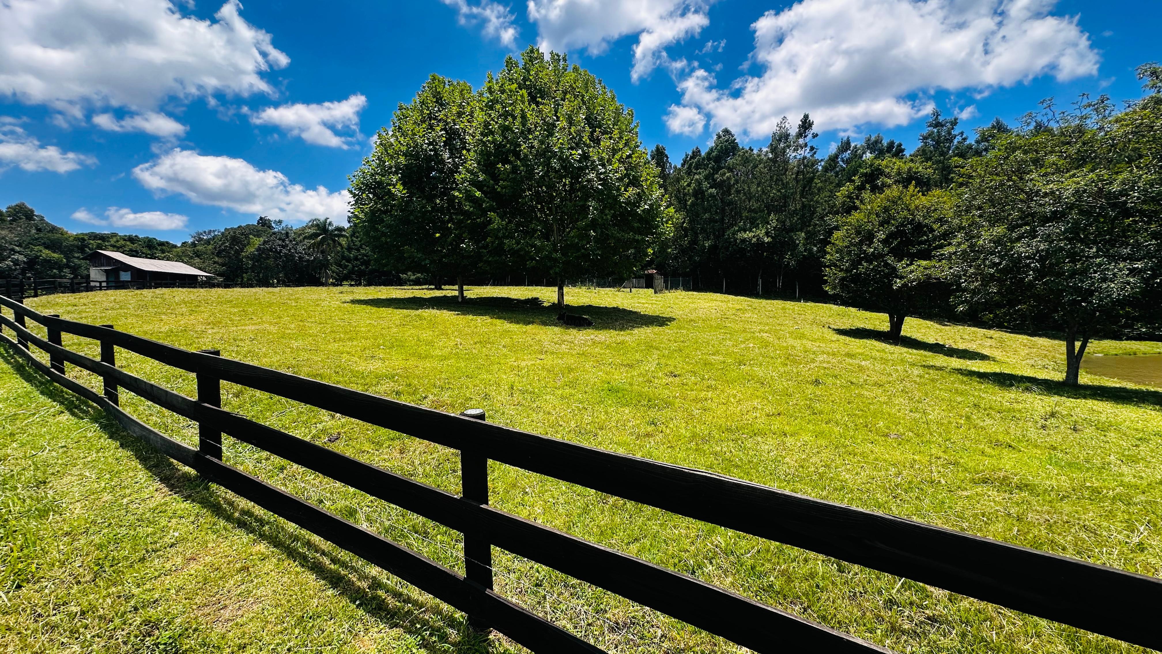 Fazenda à venda com 6 quartos, 140000m² - Foto 25