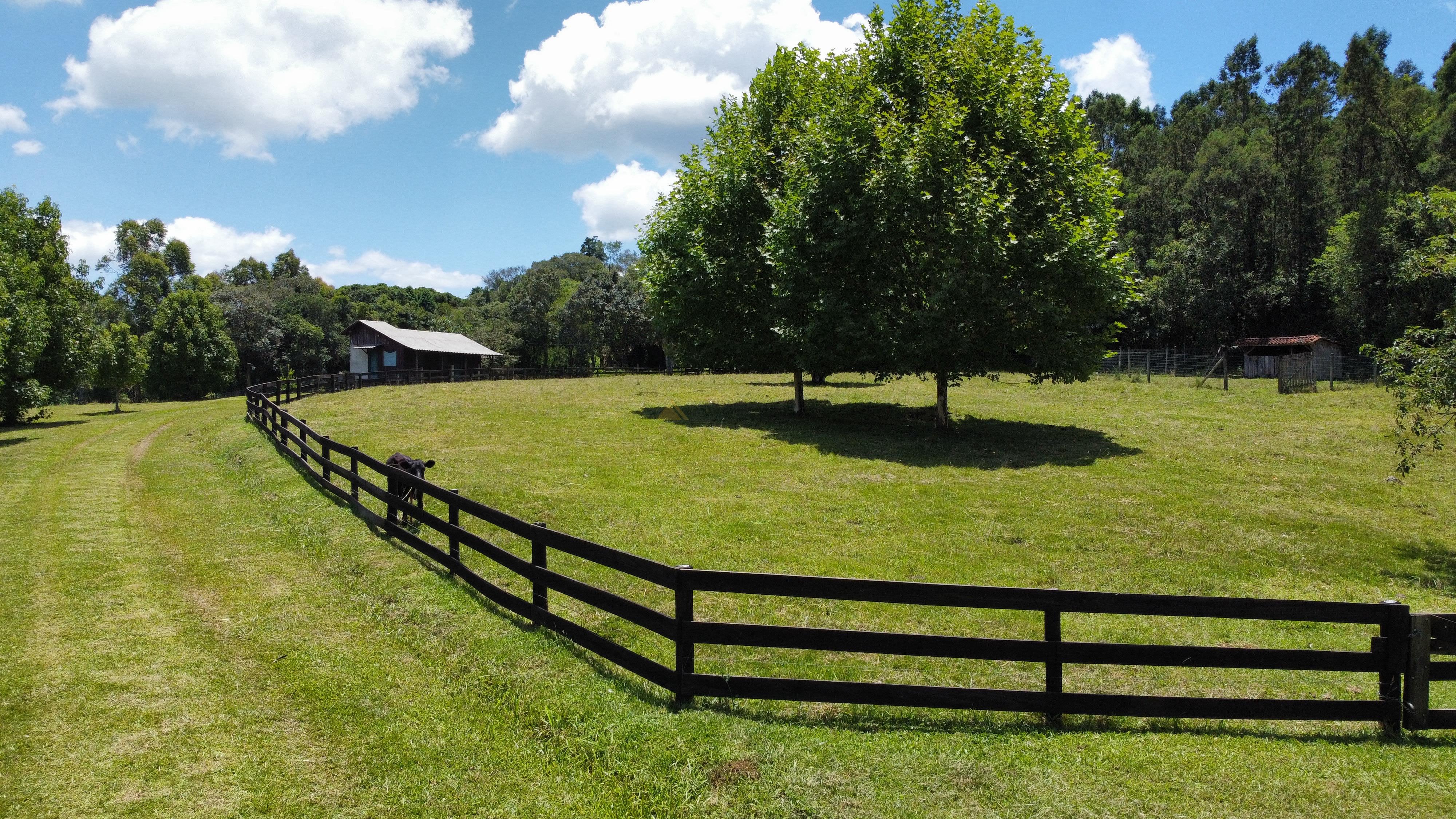 Fazenda à venda com 6 quartos, 140000m² - Foto 3