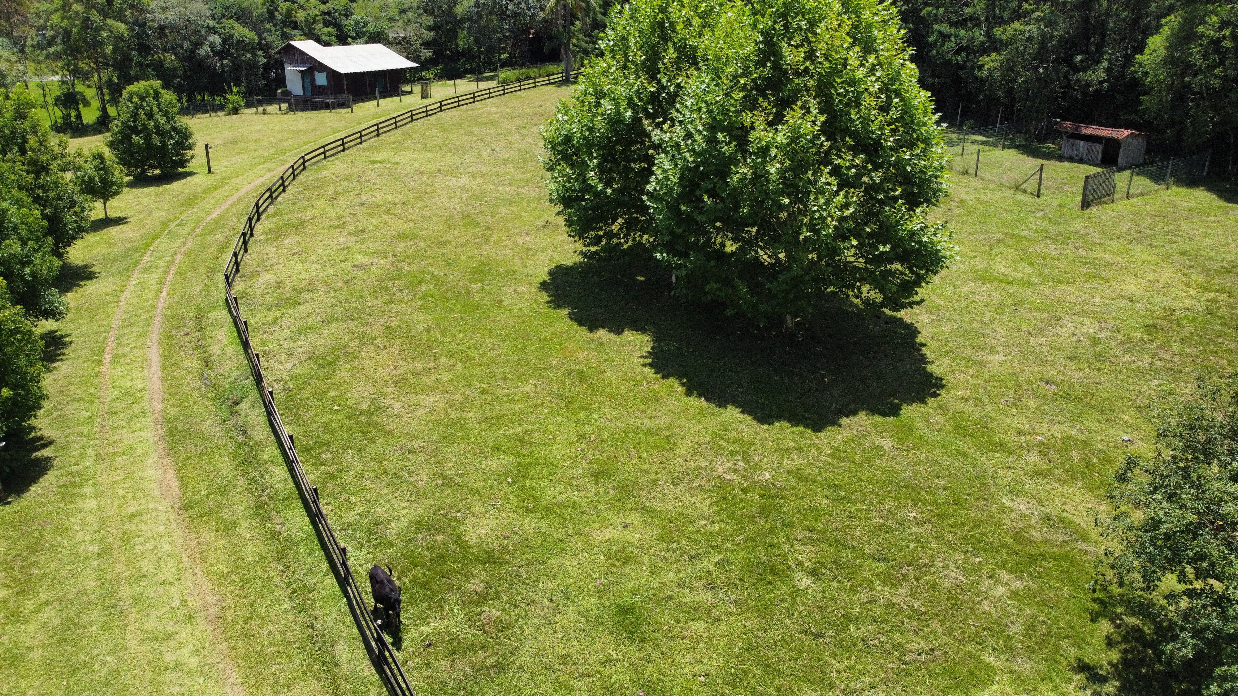 Fazenda à venda com 6 quartos, 140000m² - Foto 4