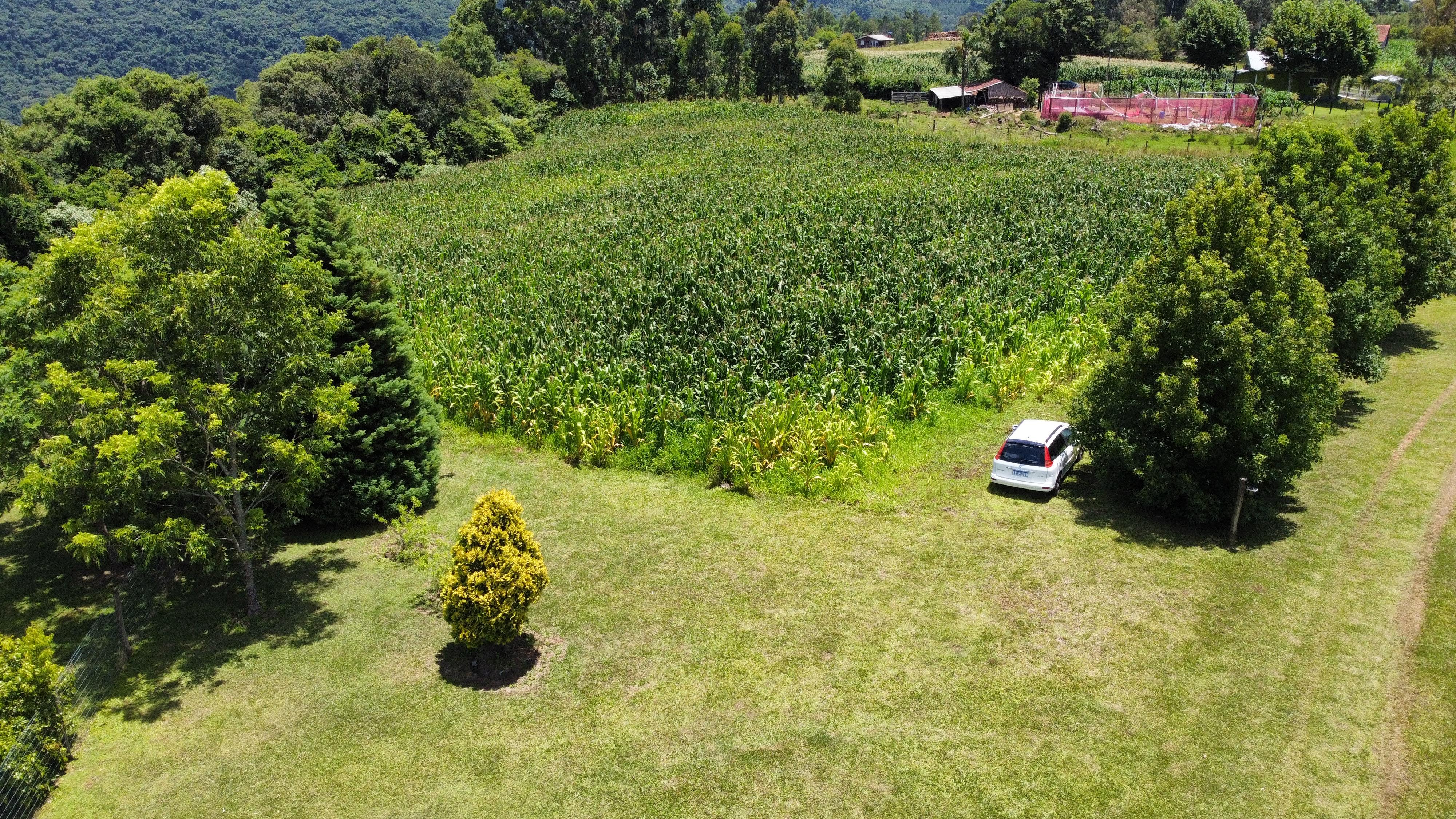 Fazenda à venda com 6 quartos, 140000m² - Foto 5