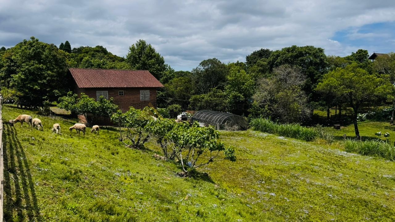 Fazenda à venda com 2 quartos, 700m² - Foto 1