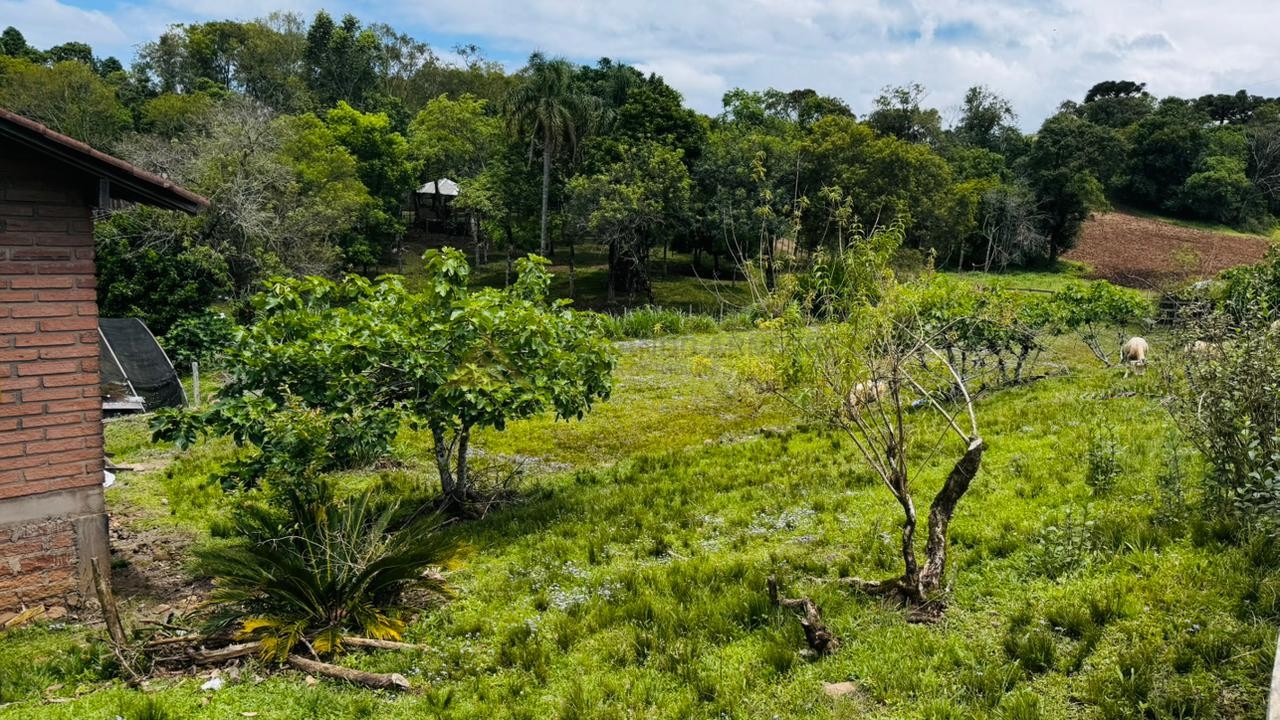 Fazenda à venda com 2 quartos, 700m² - Foto 2