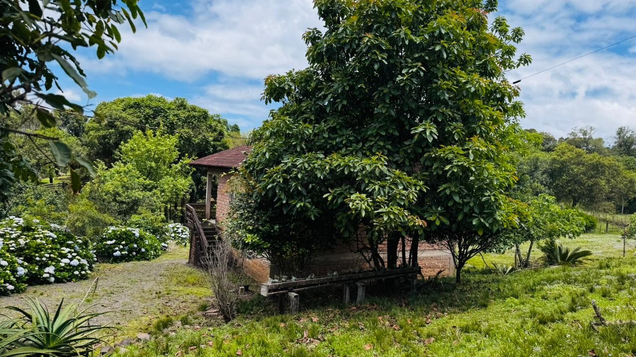 Fazenda à venda com 2 quartos, 700m² - Foto 3