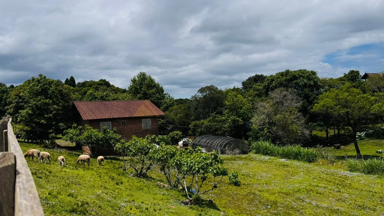 Fazenda à venda com 2 quartos, 700m² - Foto 6