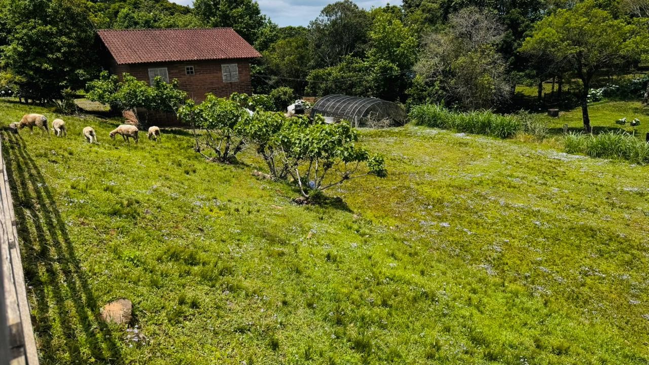 Fazenda à venda com 2 quartos, 700m² - Foto 7