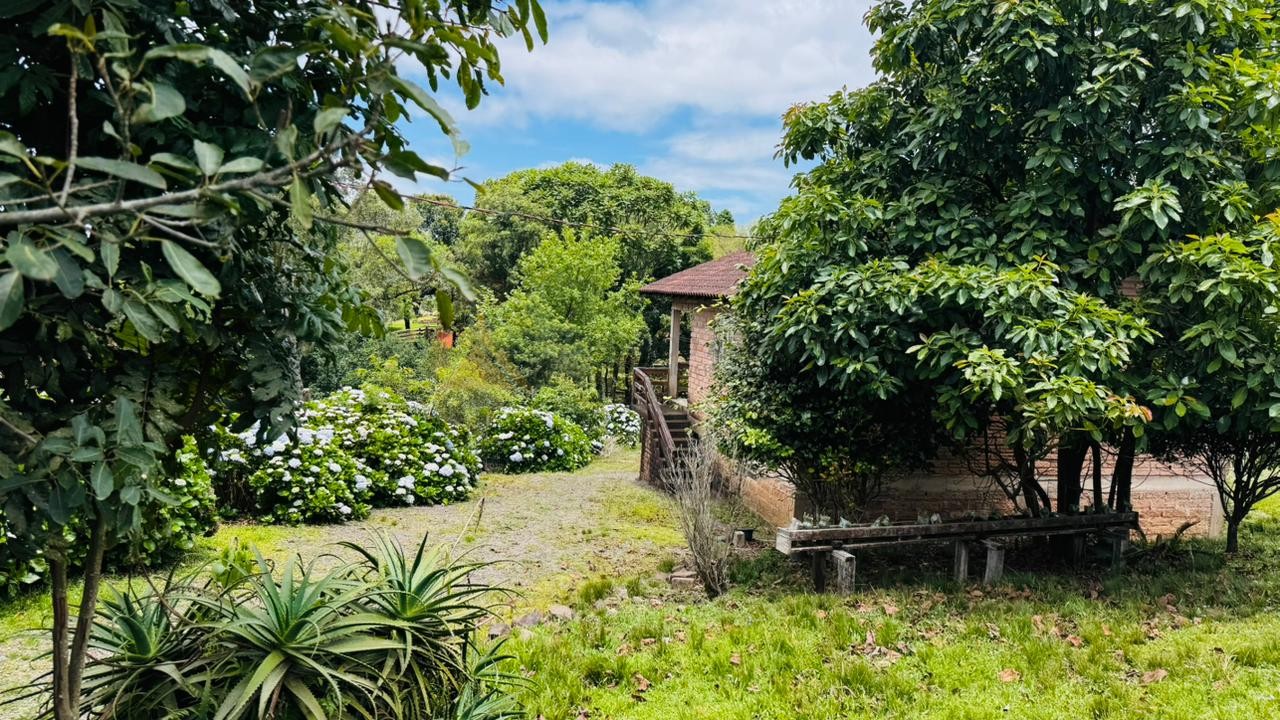 Fazenda à venda com 2 quartos, 700m² - Foto 8