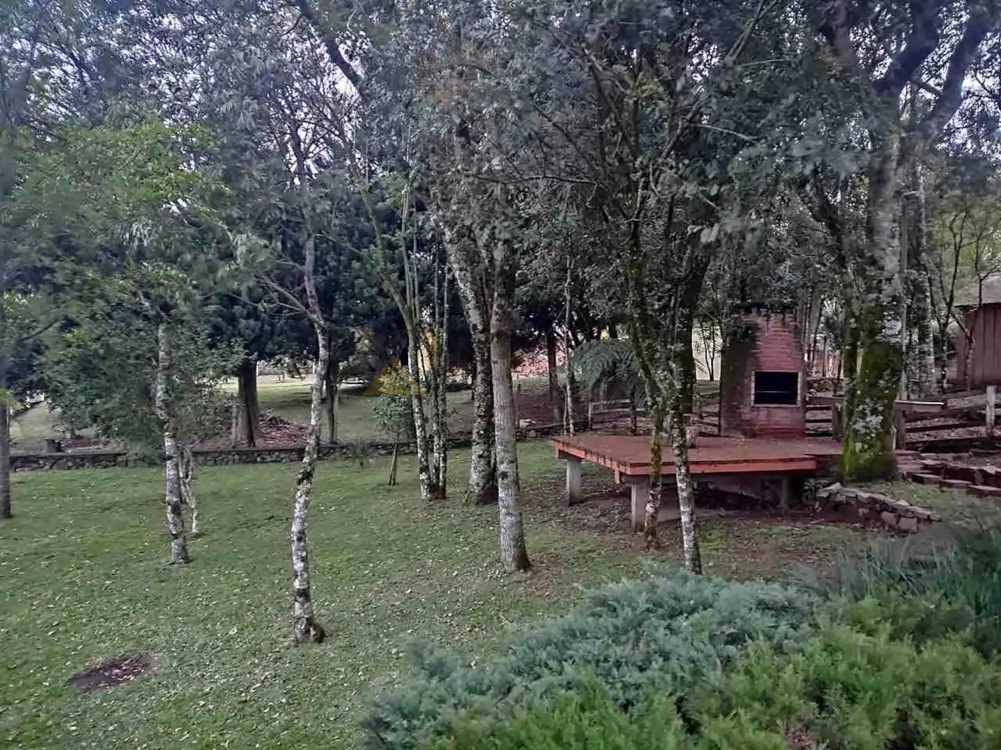 Fazenda à venda com 4 quartos, 350m² - Foto 16